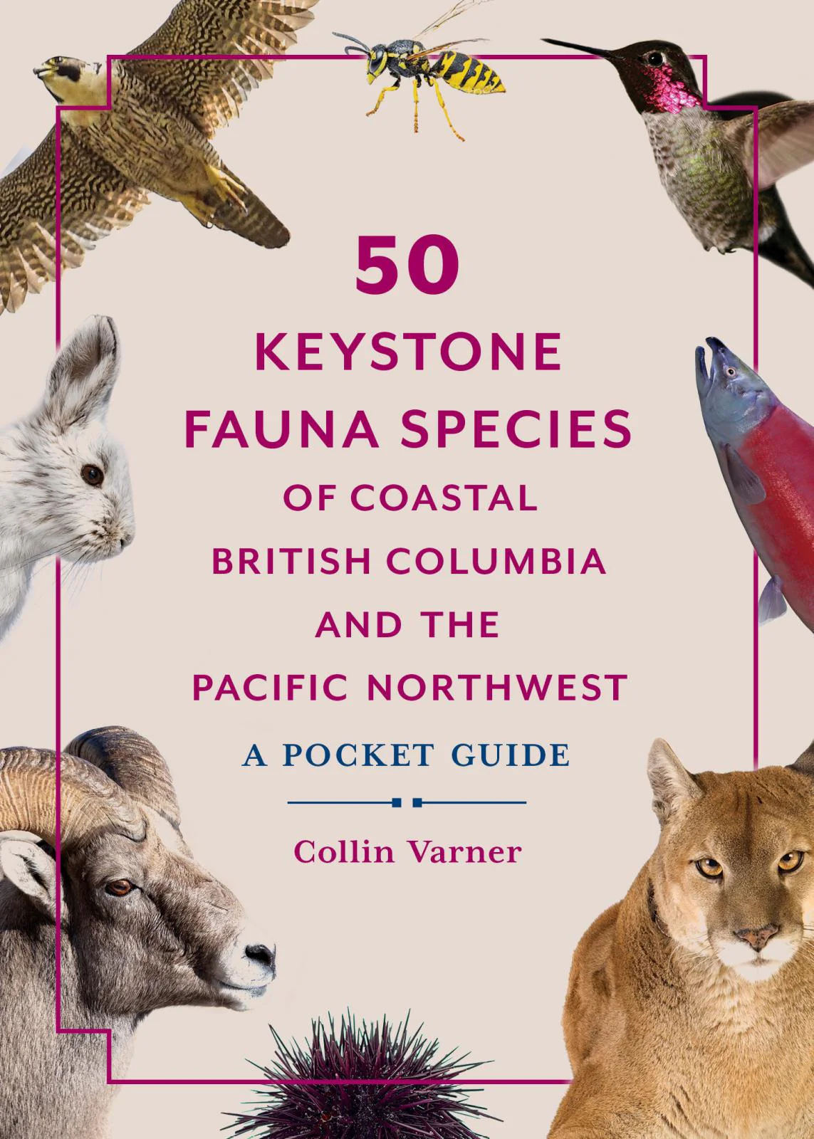 50 Keystone Fauna Species Of Coastal British Columbia And Th