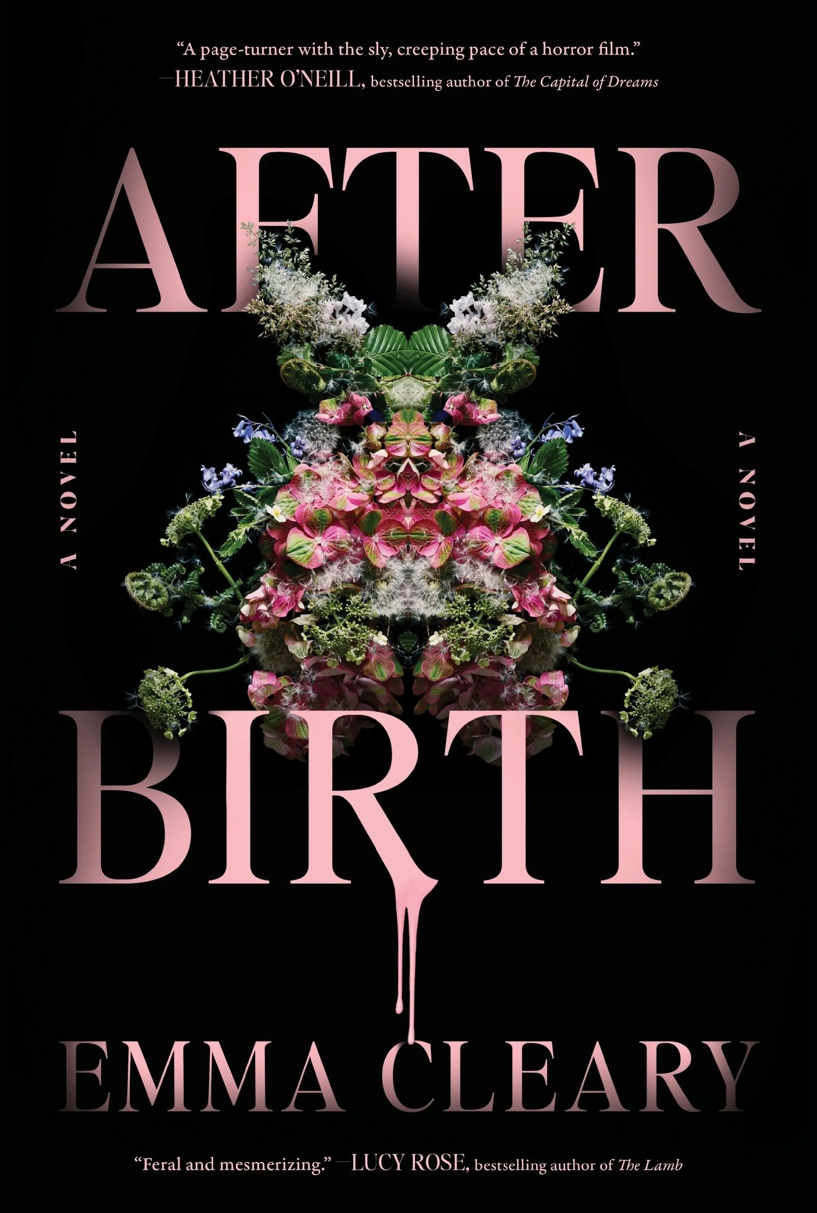 Afterbirth: A Novel