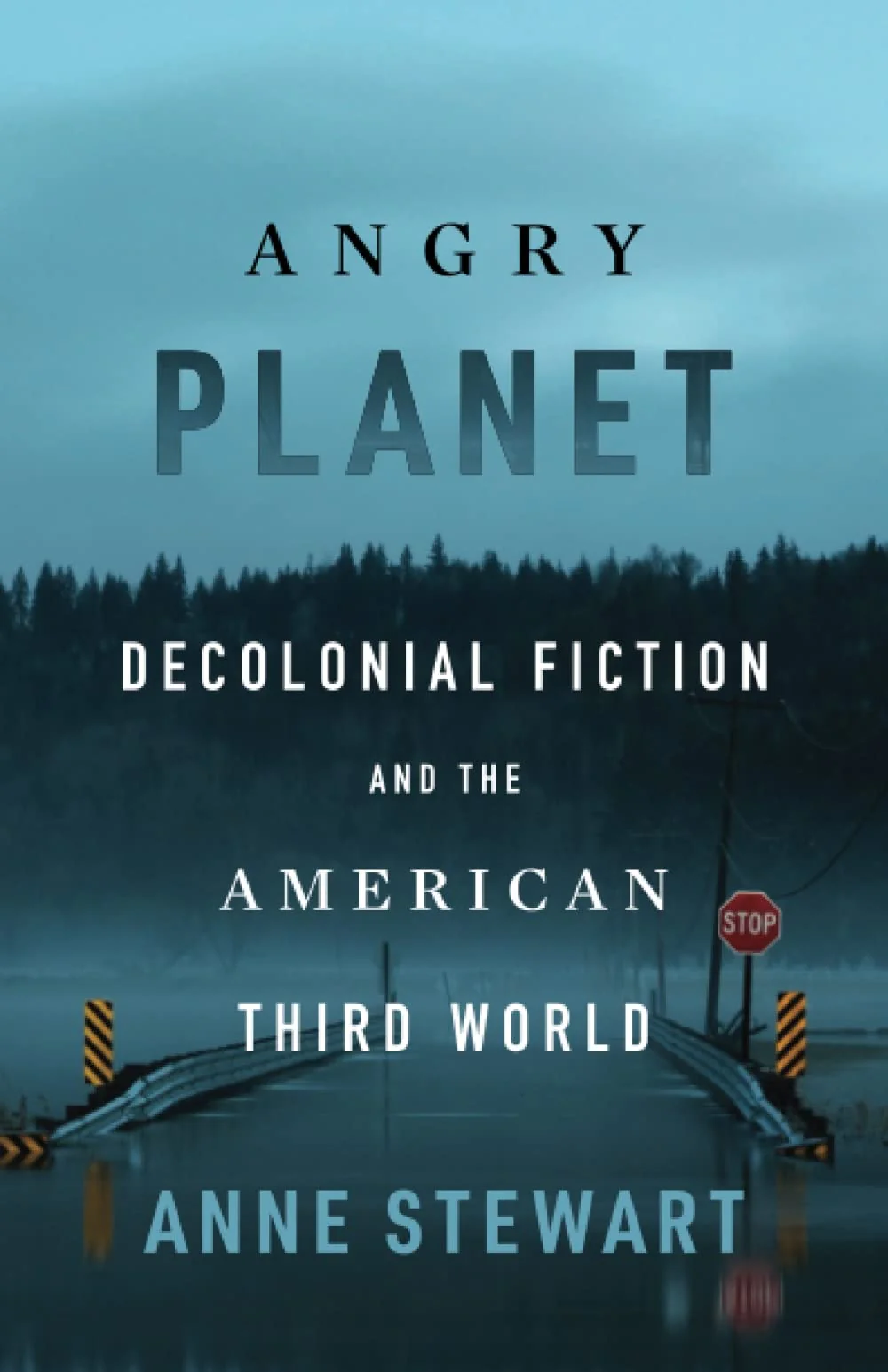 Angry Planet Decolonial Fiction and the American Third World
