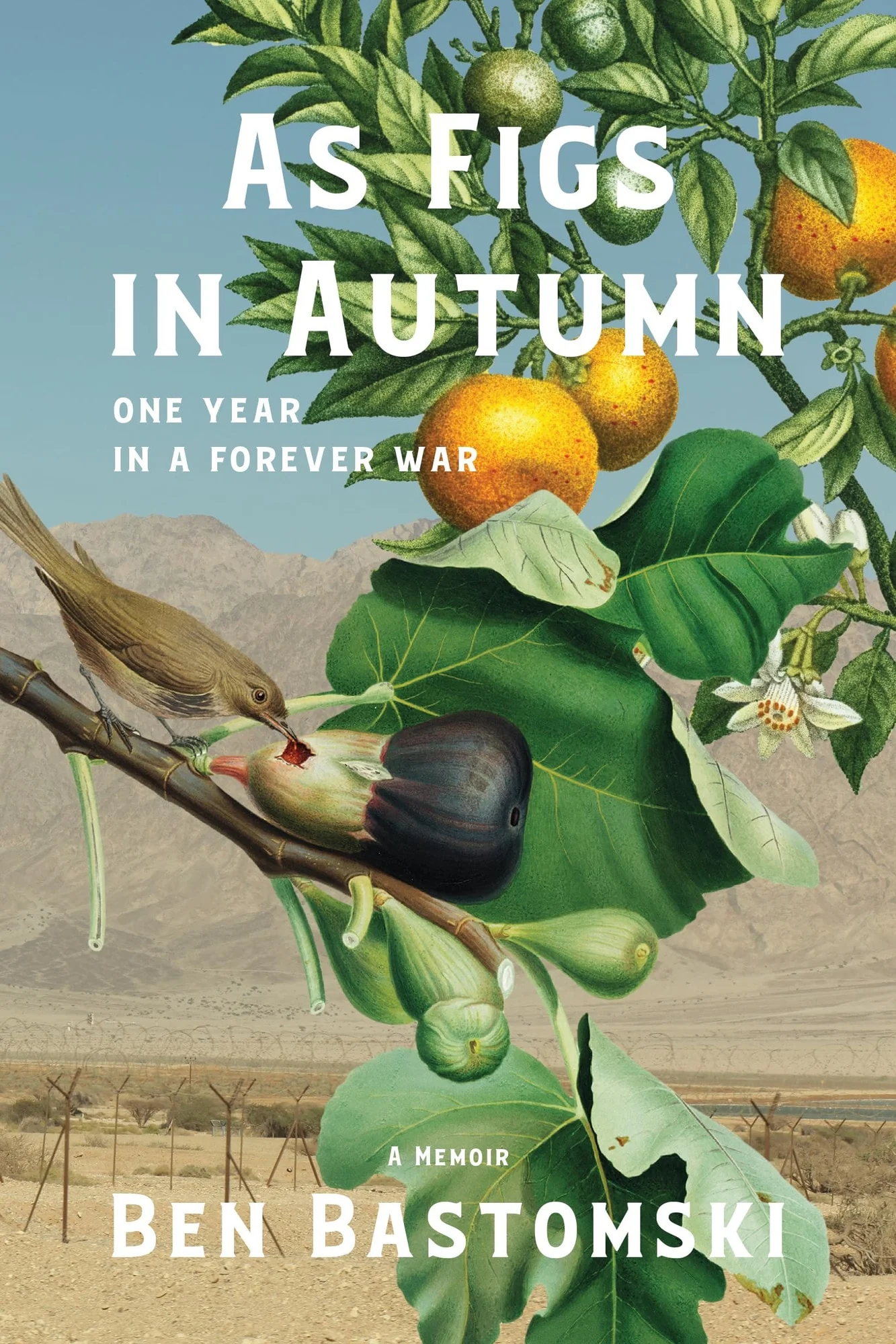 As Figs in Autumn One Year in a Forever War