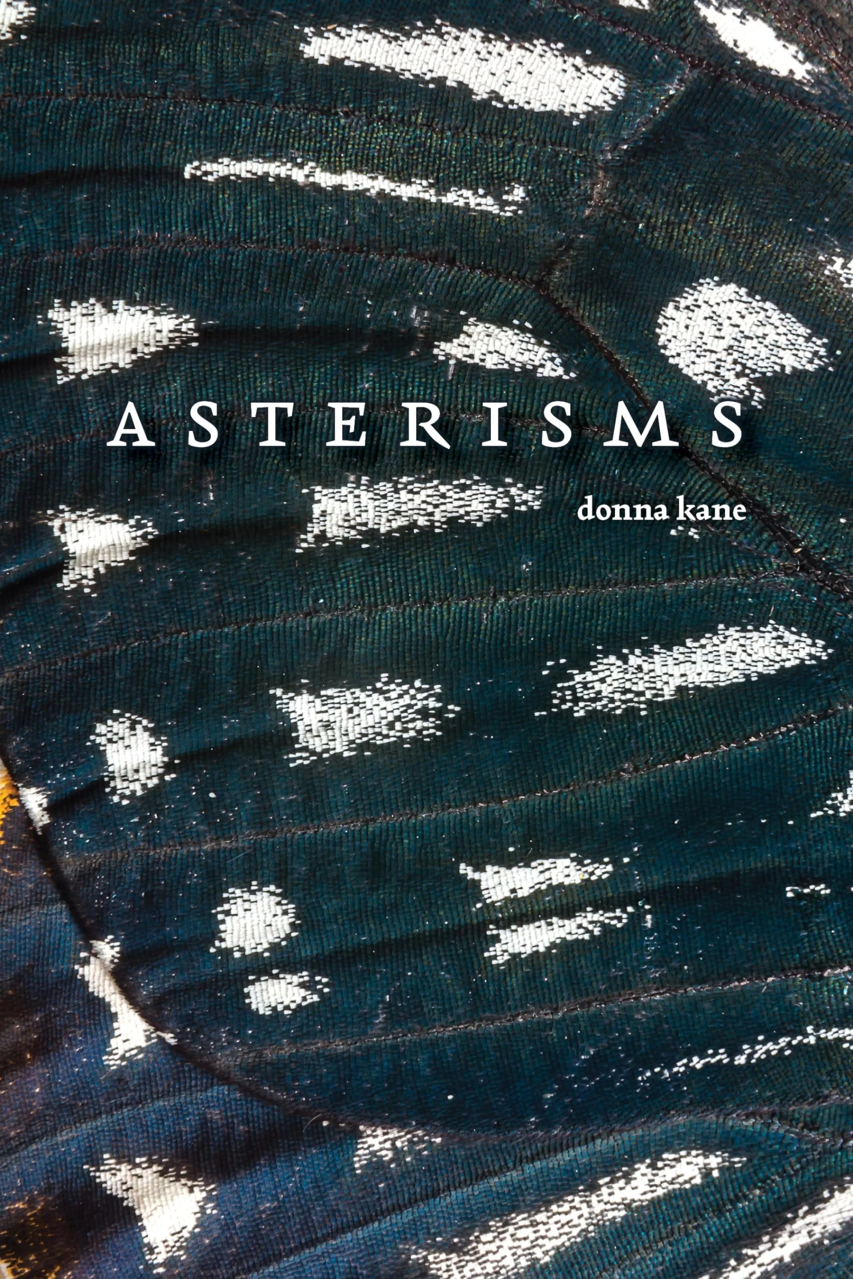 Asterisms Poems