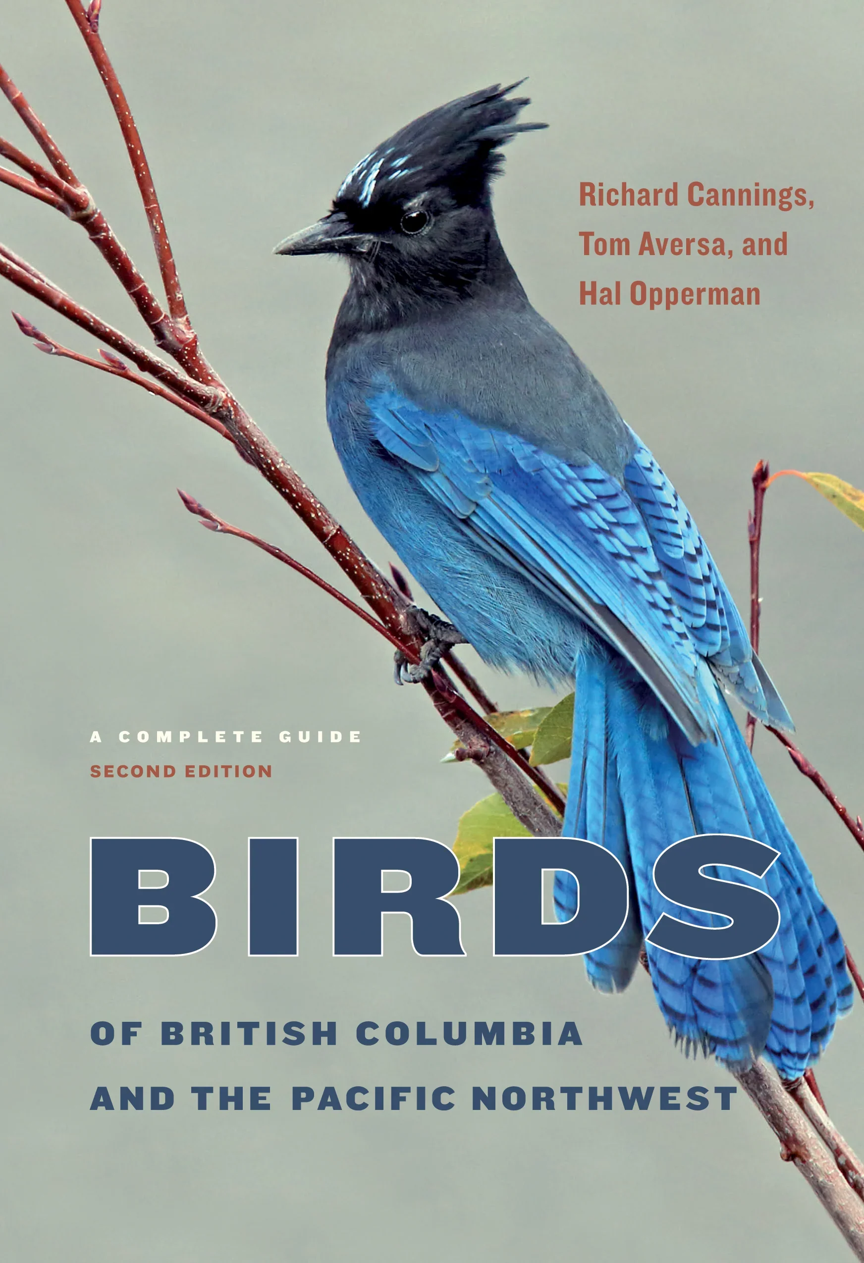 Birds of British Columbia and the Pacific Northwest: A Complete Guide (Revised 2nd Edition)