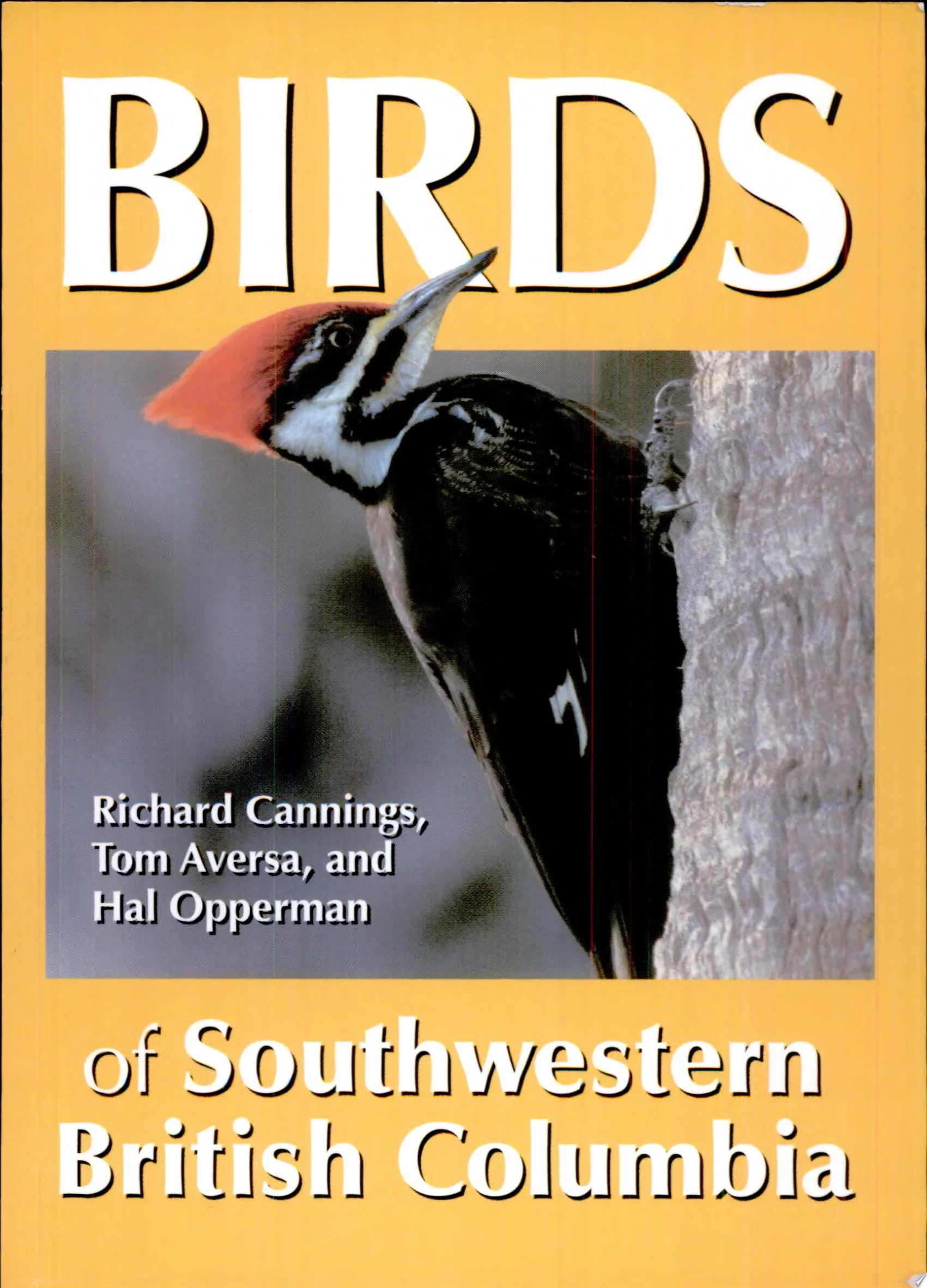 Birds of Southwestern British Columbia