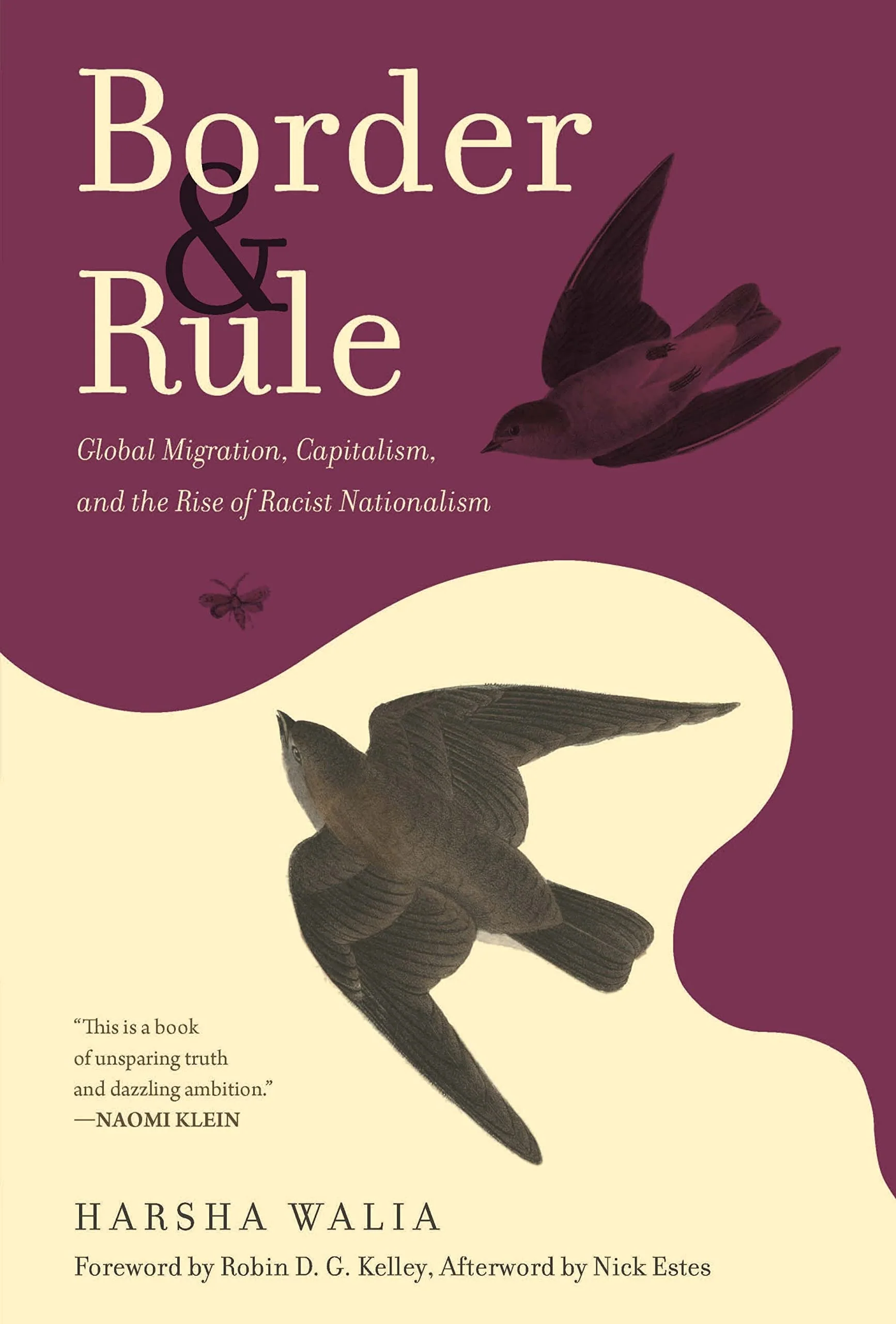 Border and Rule Global Migration, Capitalism, and the Rise of Racist Nationalism