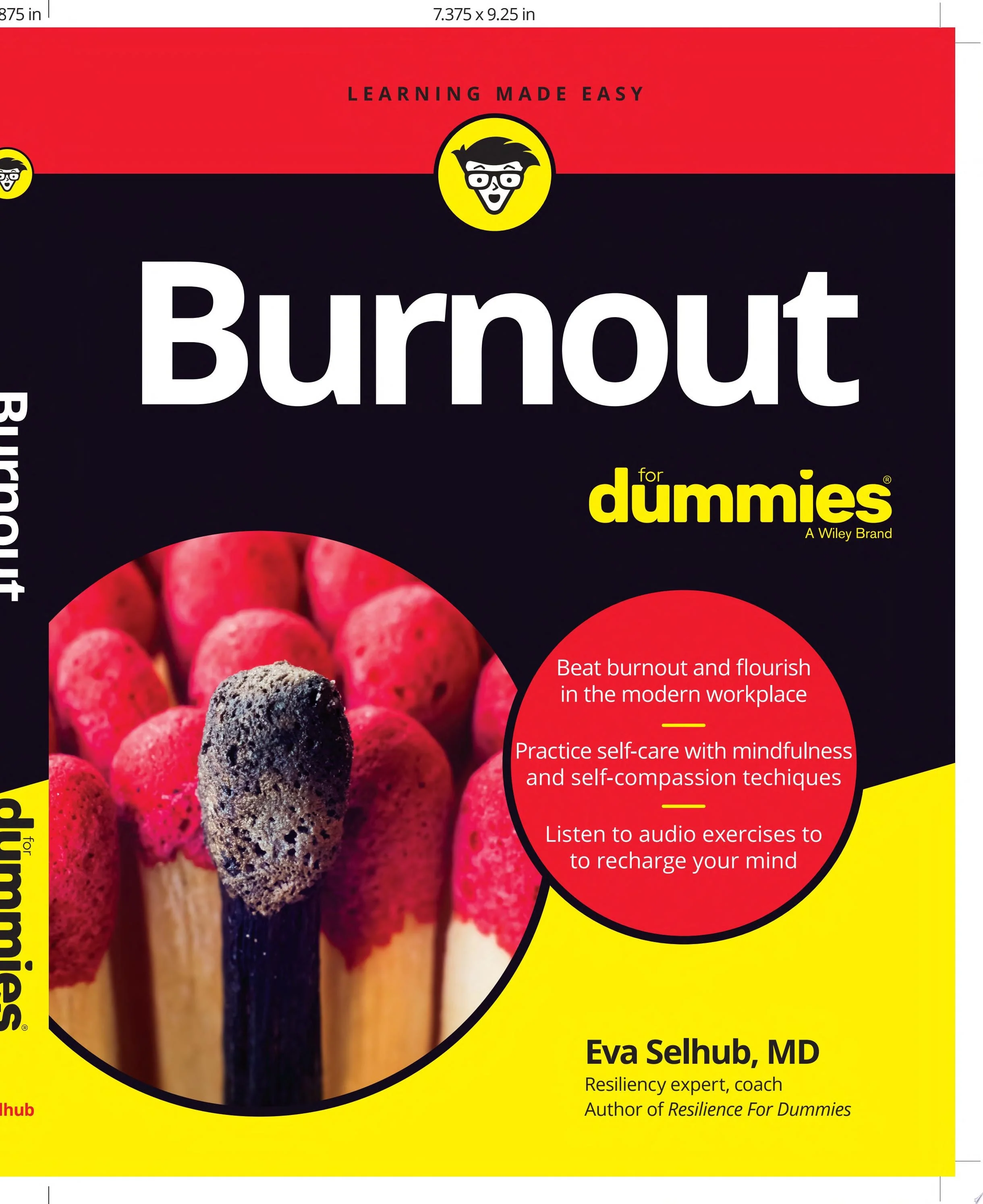 Burnout For Dummies