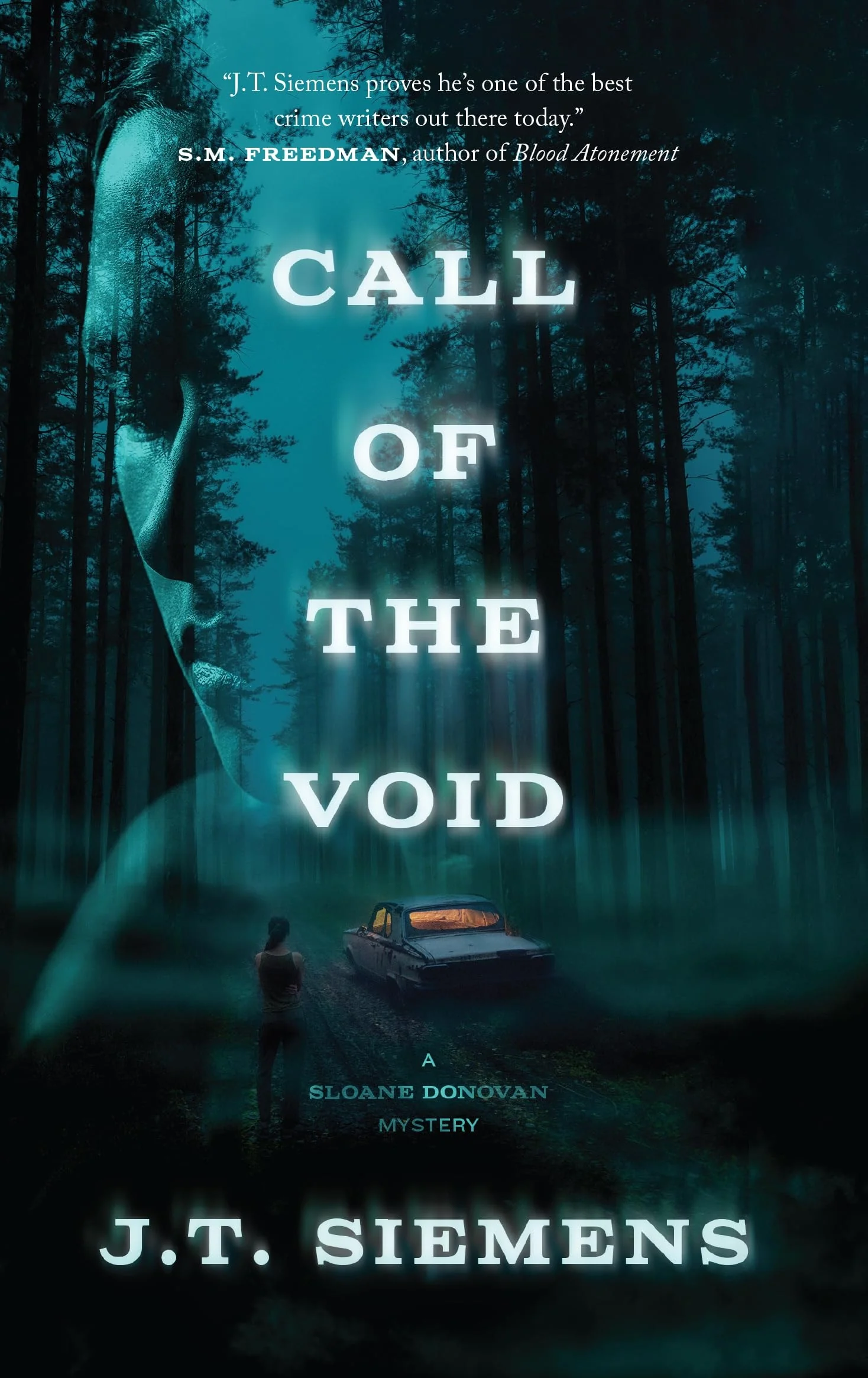 Call of the Void A Sloane Donovan Mystery