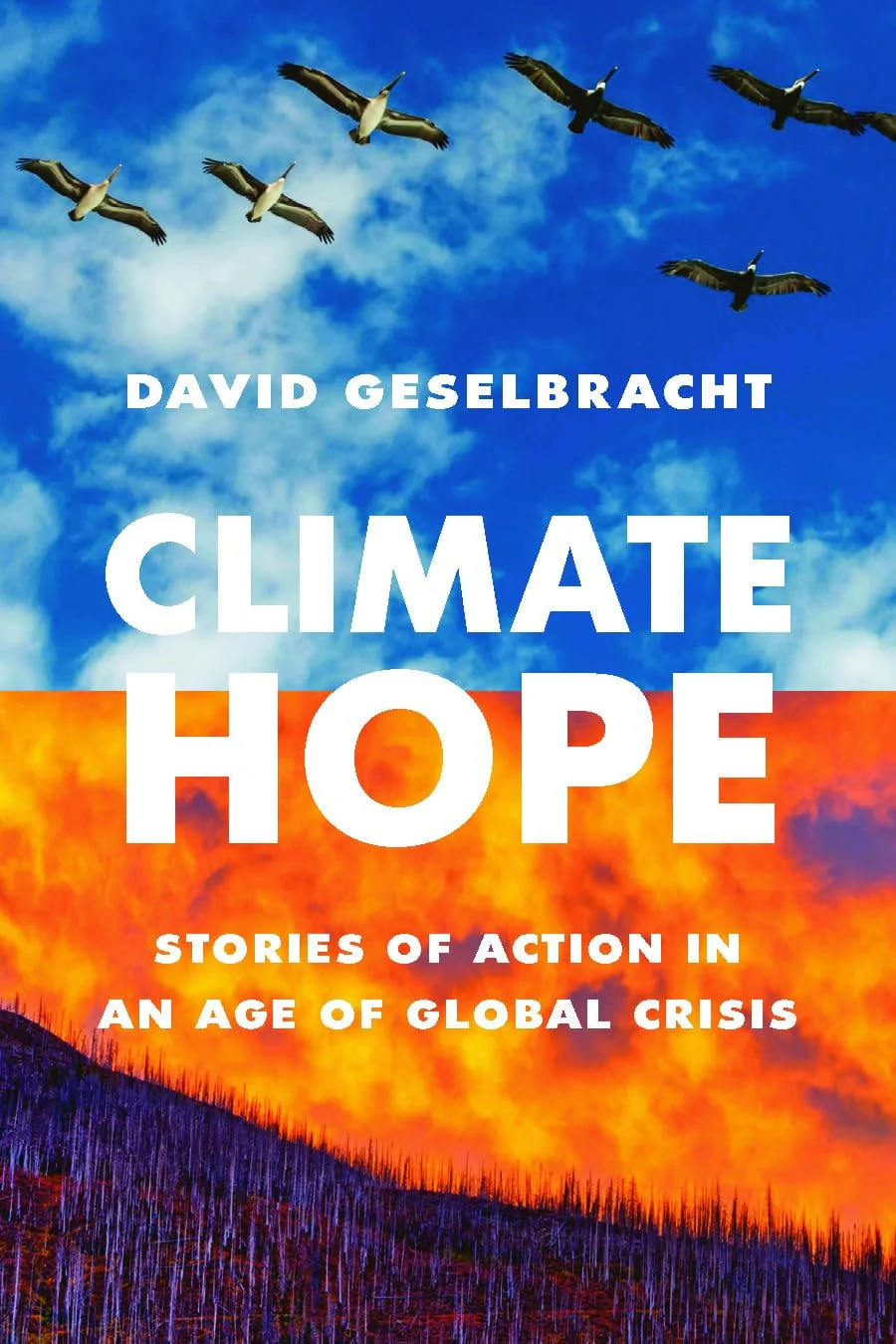 Climate Hope Stories of Action in an Age of Global Crisis