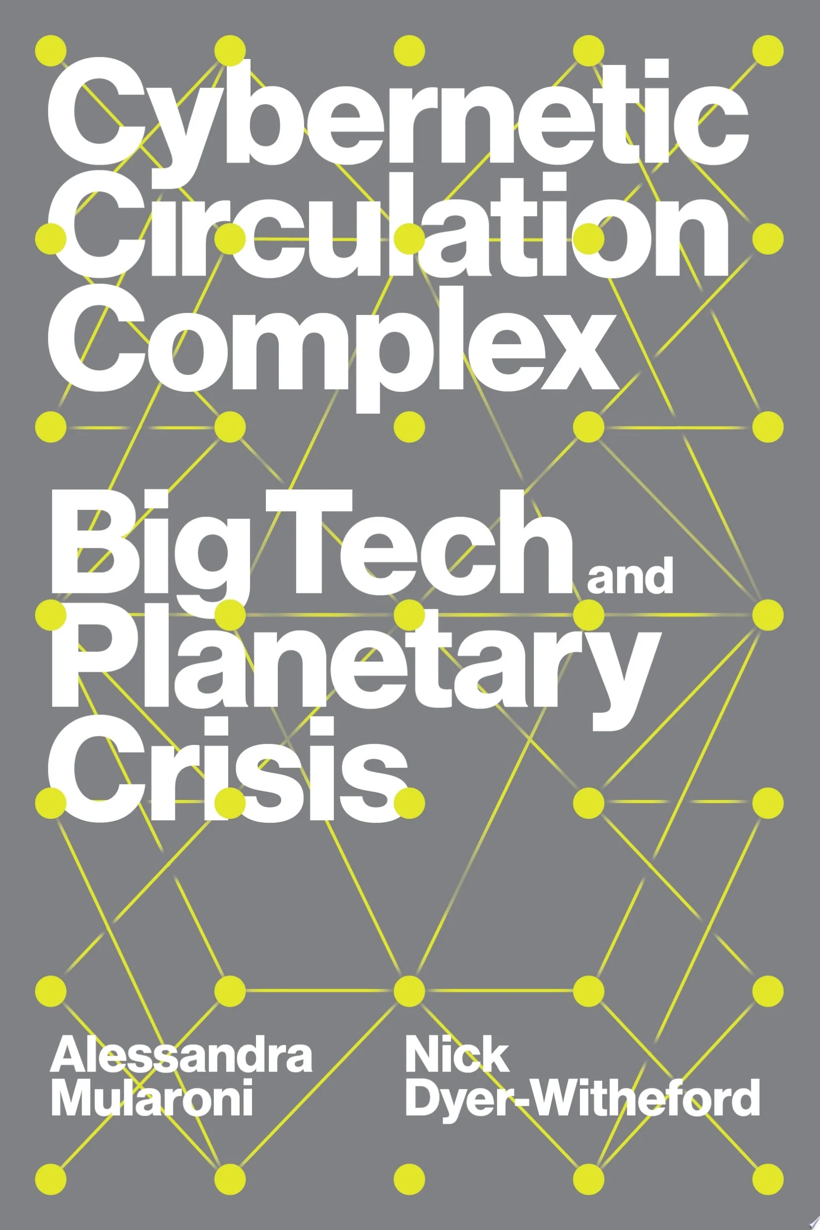 Cybernetic Circulation Complex Big Tech and Planetary Crisis