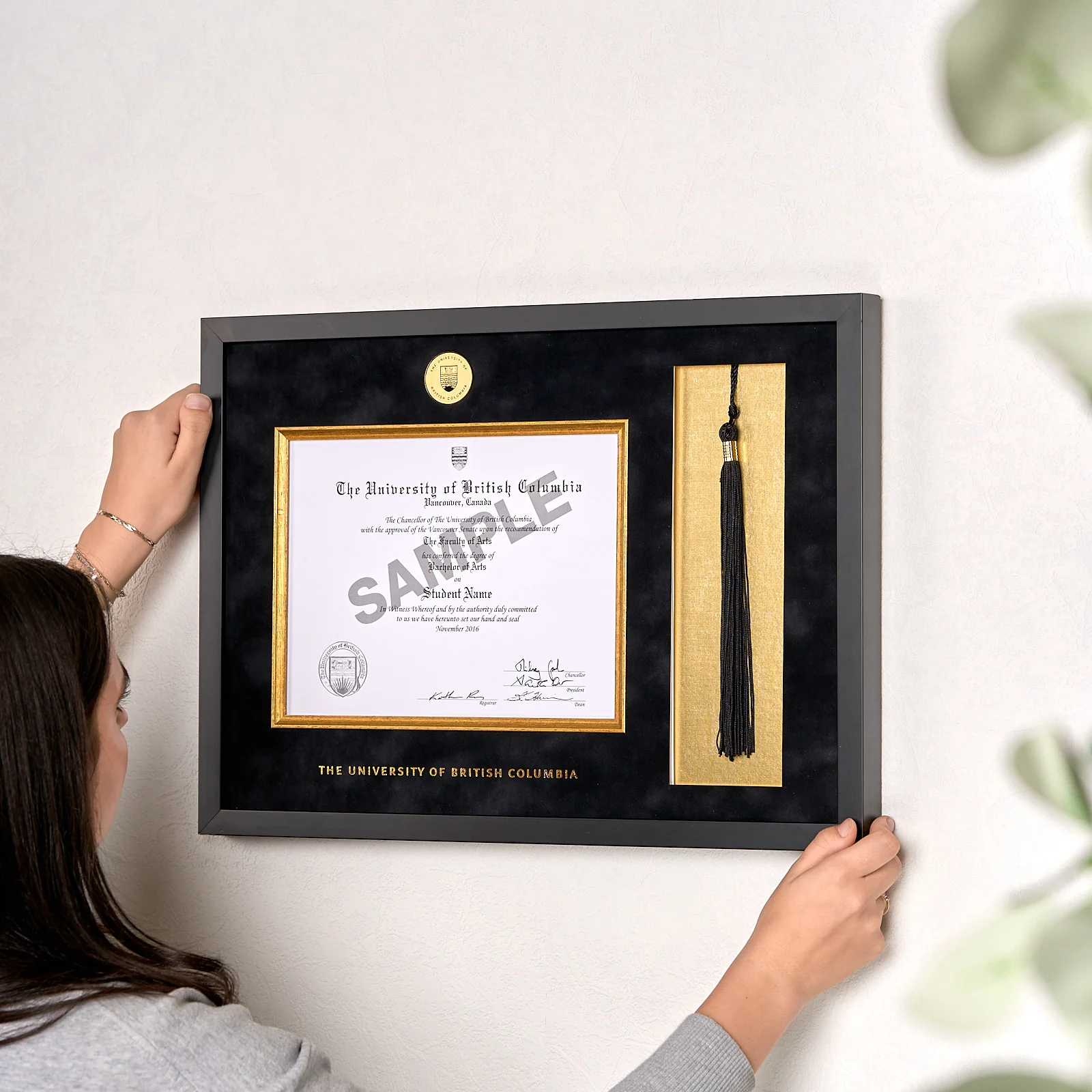 Diploma Frame W/ Tassel Cut, Velvet Mat UBC Medallion - Image 4