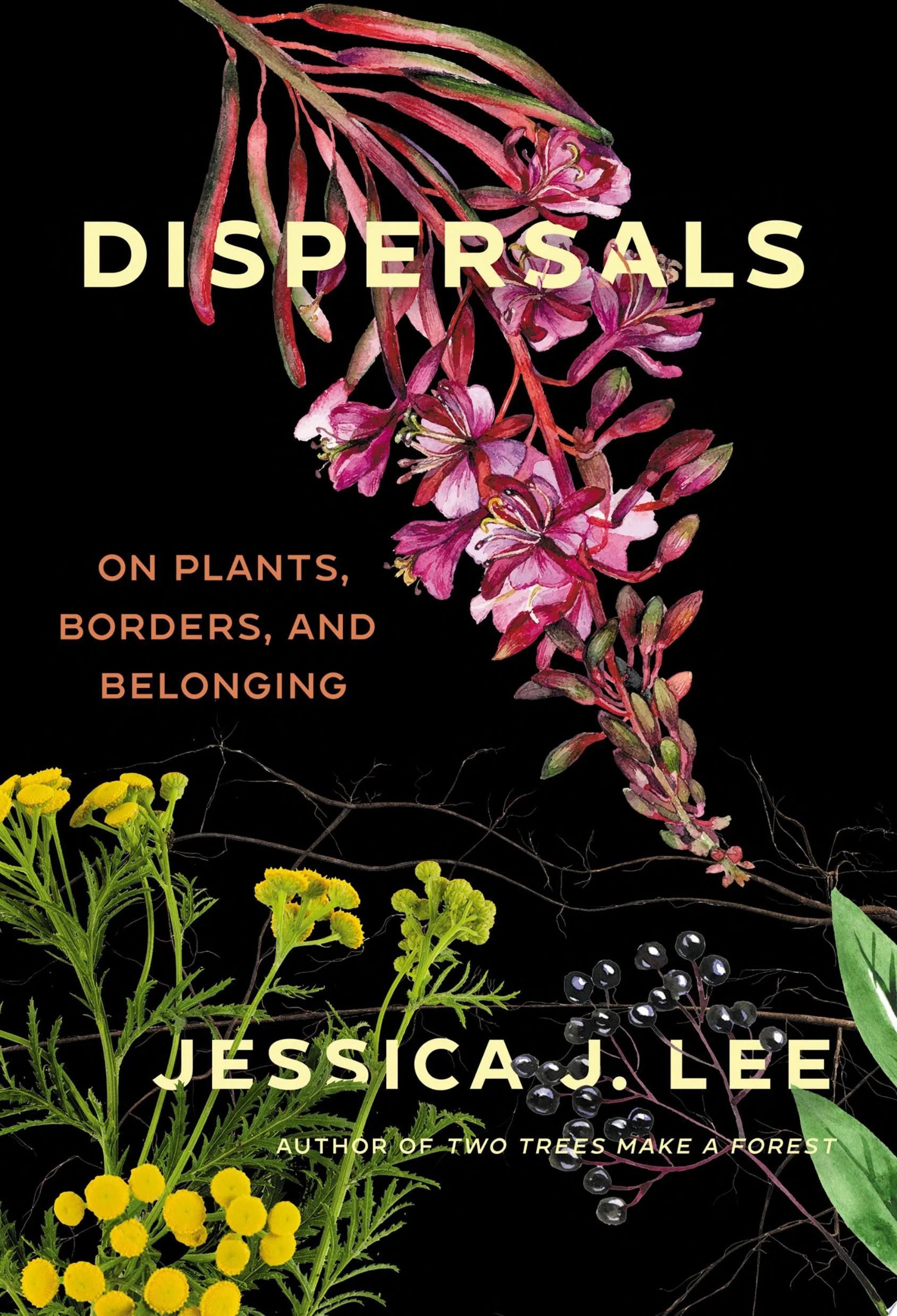Dispersals On Plants, Borders, and Belonging