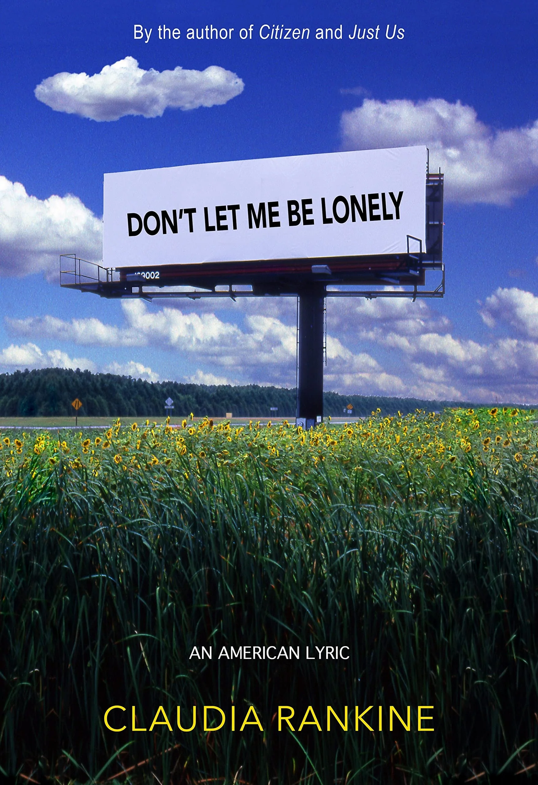 Don't Let Me Be Lonely An American Lyric