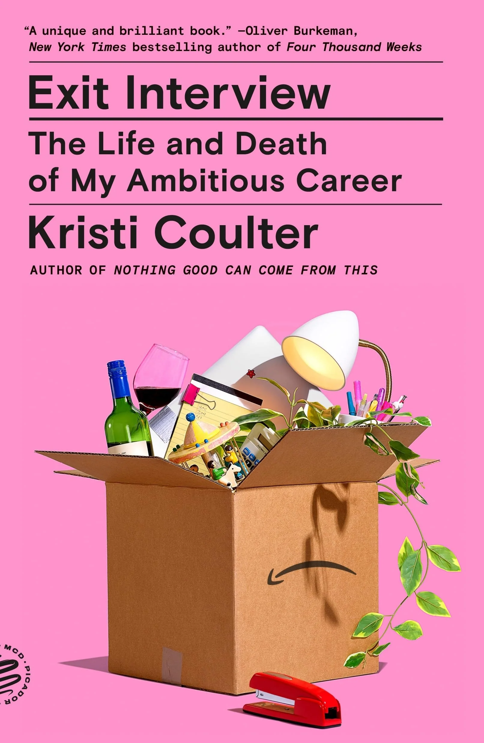 Exit Interview The Life and Death of My Ambitious Career