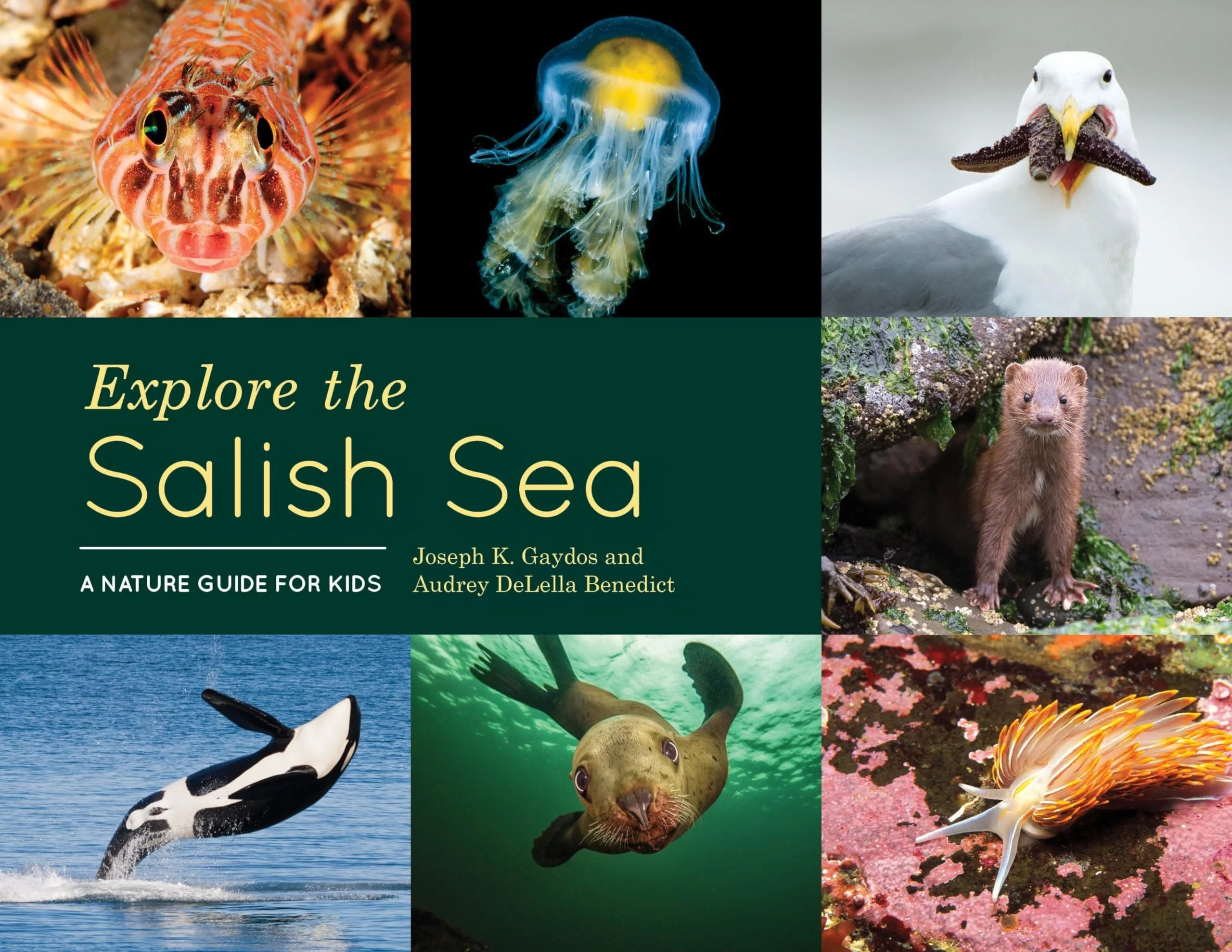 Explore the Salish Sea A Nature Guide for Kids
