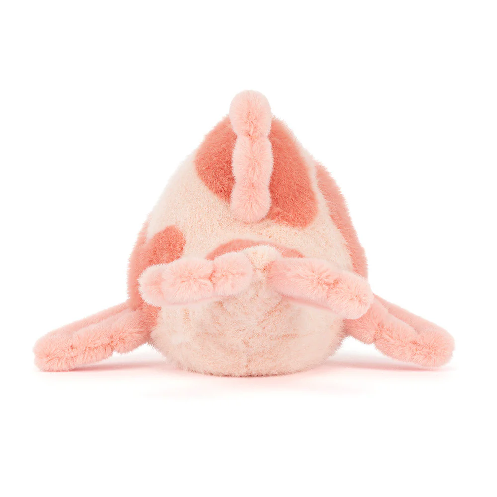 Fancy Carp - Image 3