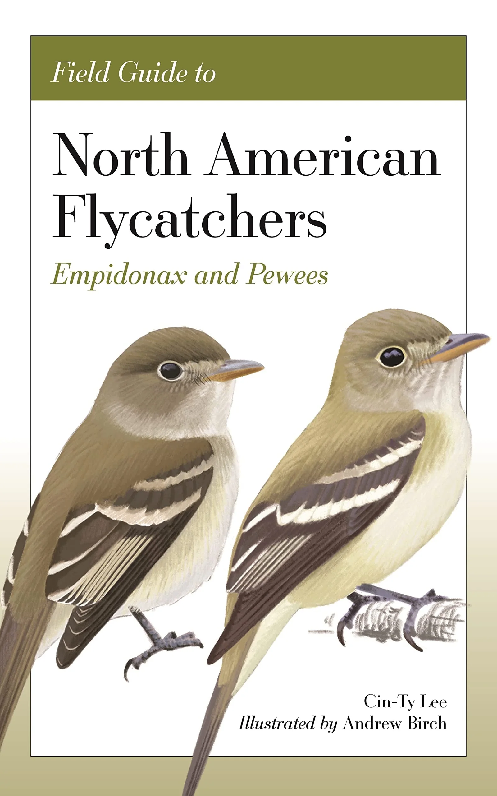 Field Guide to North American Flycatchers Empidonax and Pewees