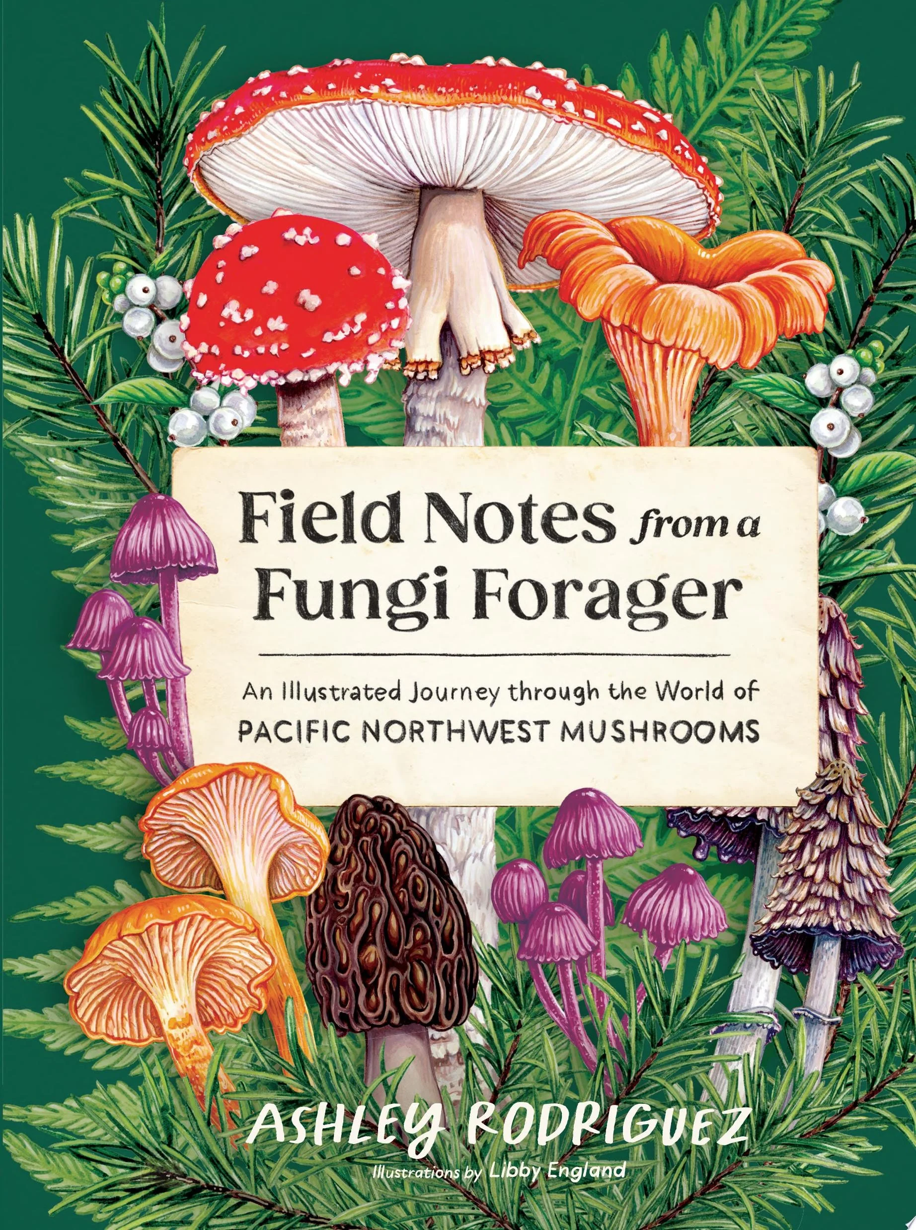 Field Notes from a Fungi Forager An Illustrated Journey Through the World of Pacific Northwest Mushrooms
