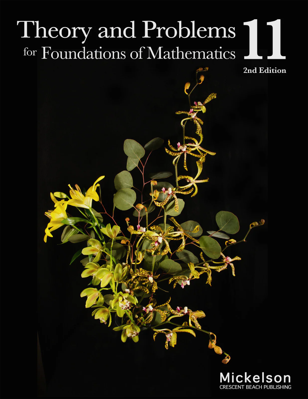 Theory and Problems for Foundations of Mathematics 11, 2nd Edition