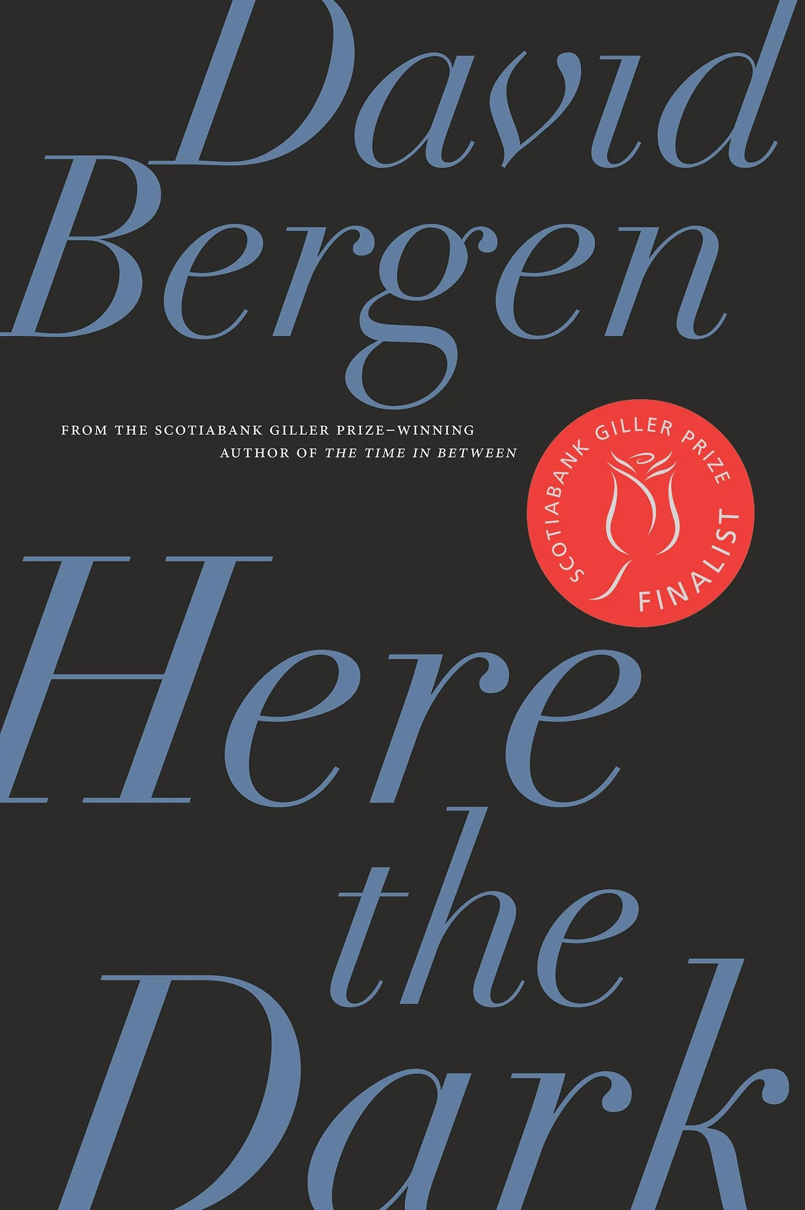 Here the Dark A Novella and Stories