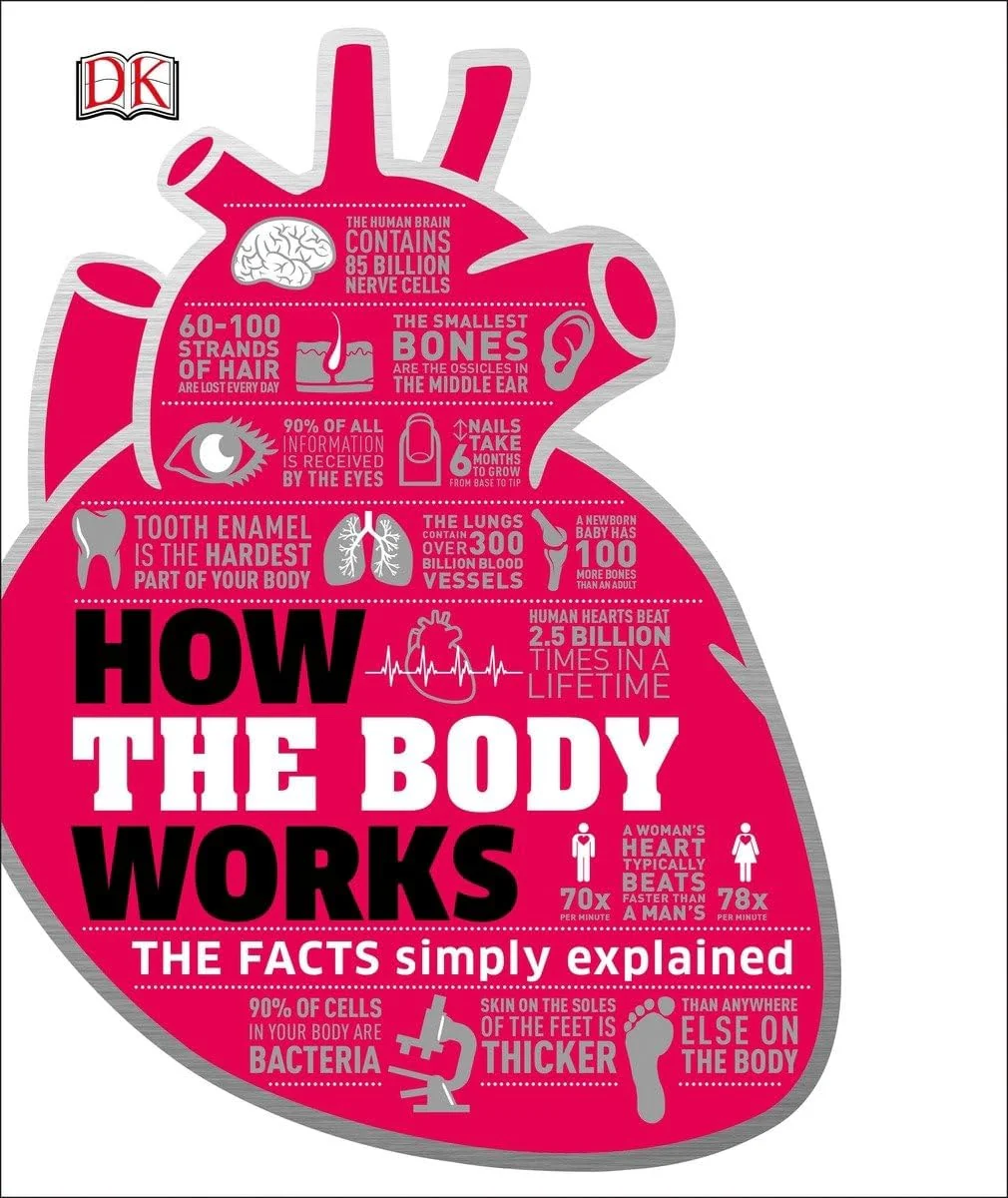 How the Body Works The Facts Simply Explained