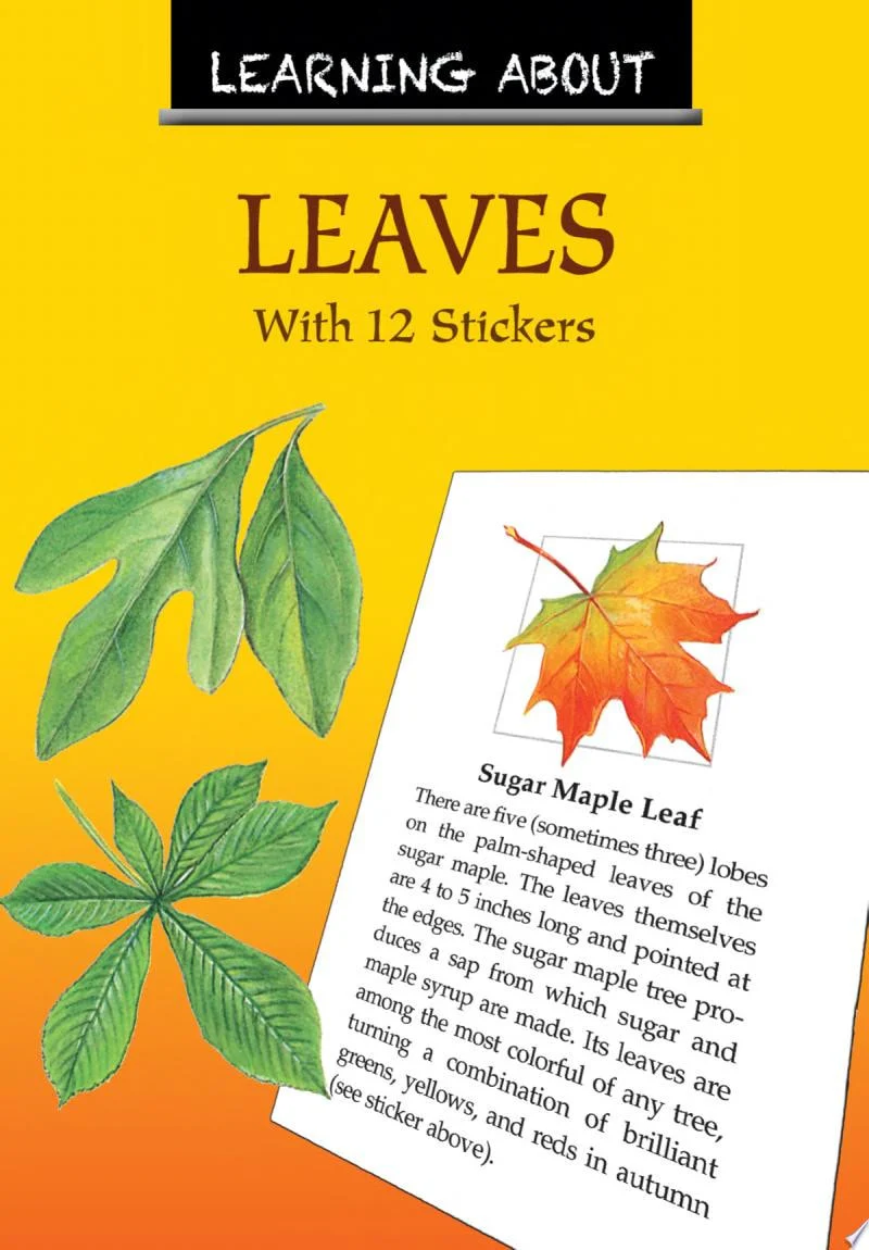 Learning About Leaves