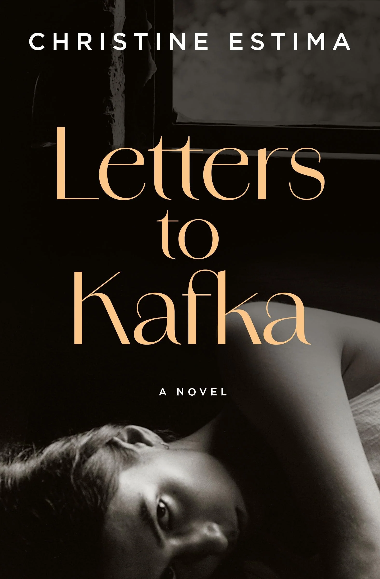 Letters to Kafka A Novel
