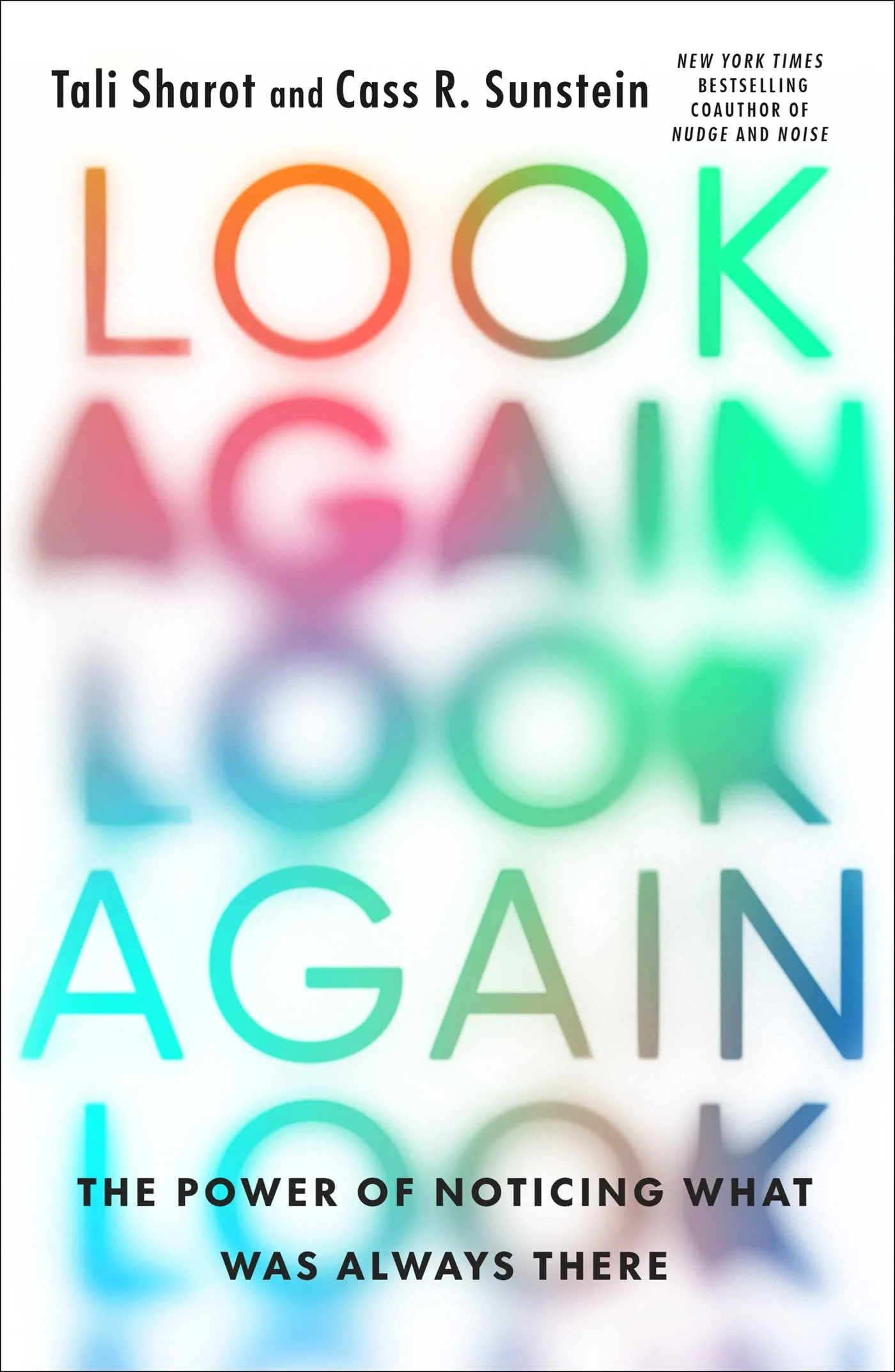 Look Again The Power of Noticing What Was Always There