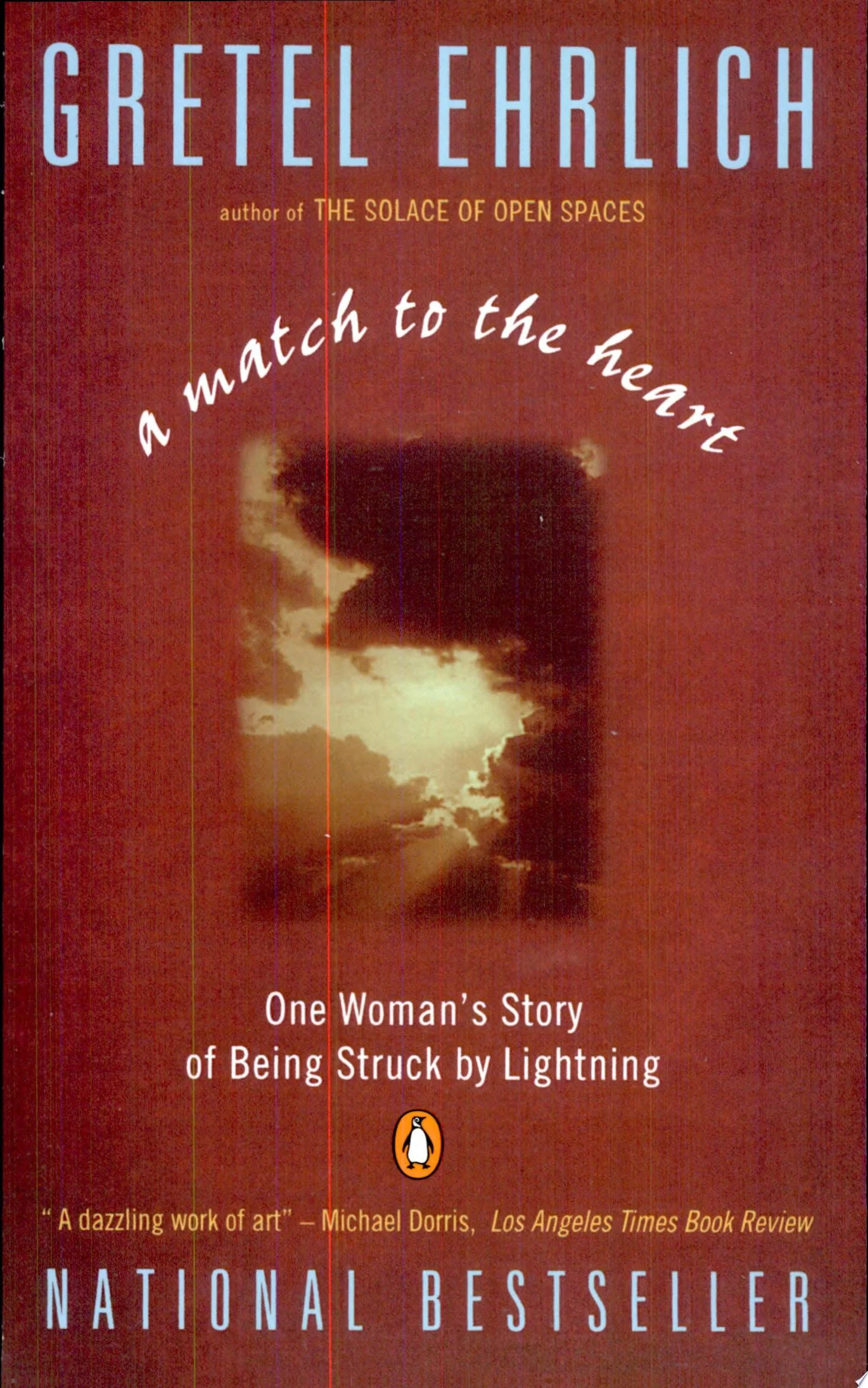 A Match to the Heart One Woman's Story of Being Struck By Lightning