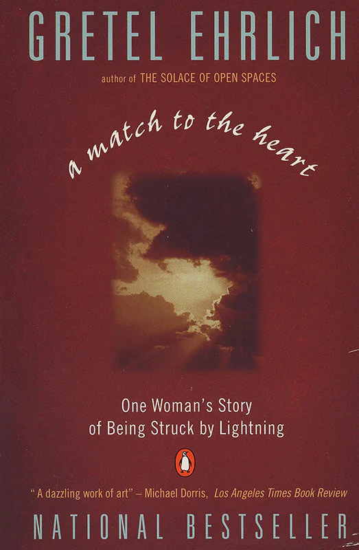 A Match to the Heart One Woman's Story of Being Struck By Lightning - Image 2