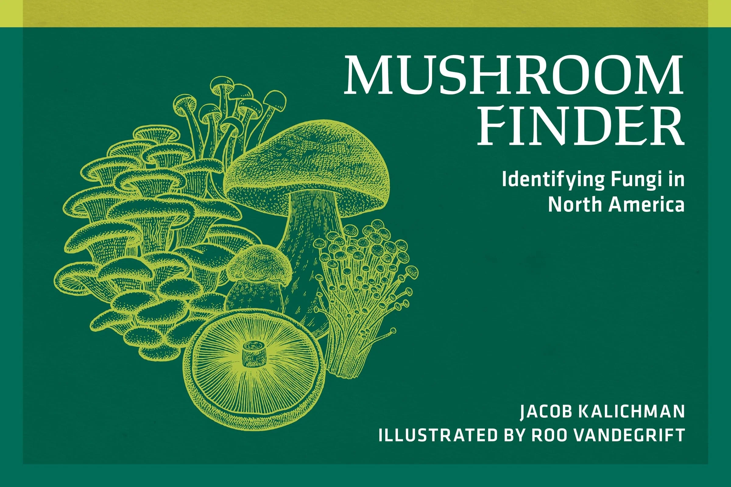 Mushroom Finder Identifying Fungi in North America