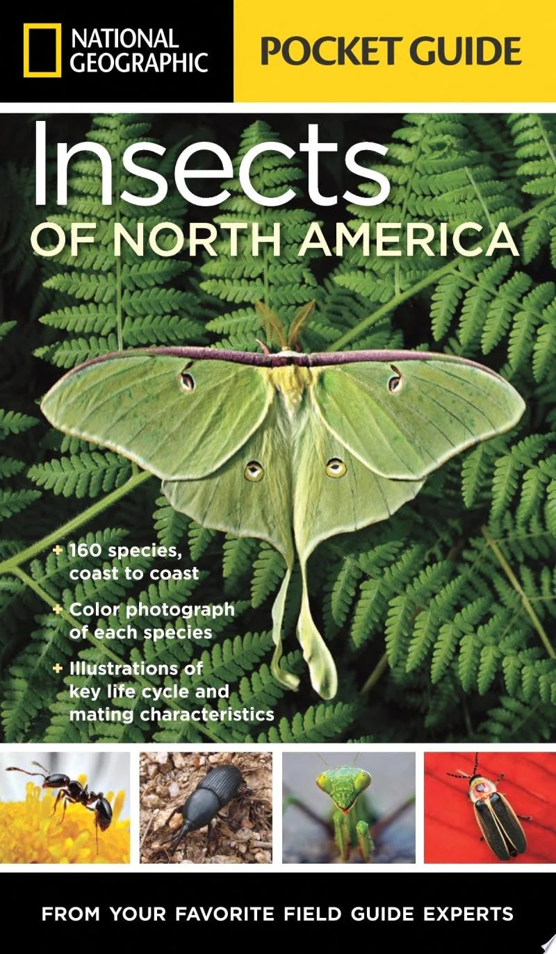 National Geographic Pocket Guide to Insects of North America
