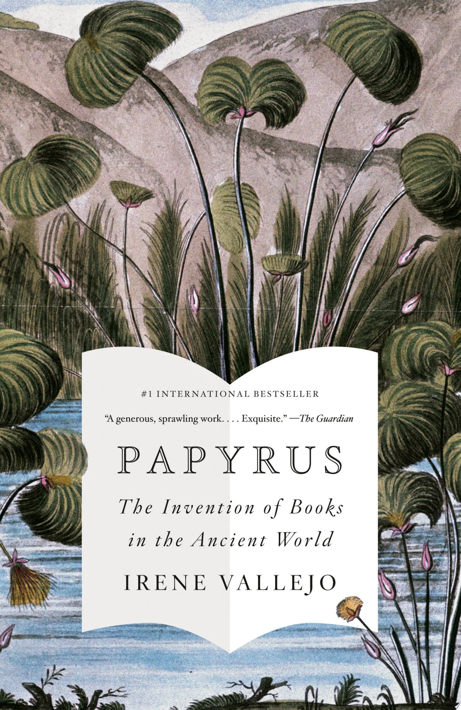 Papyrus The Invention of Books in the Ancient World