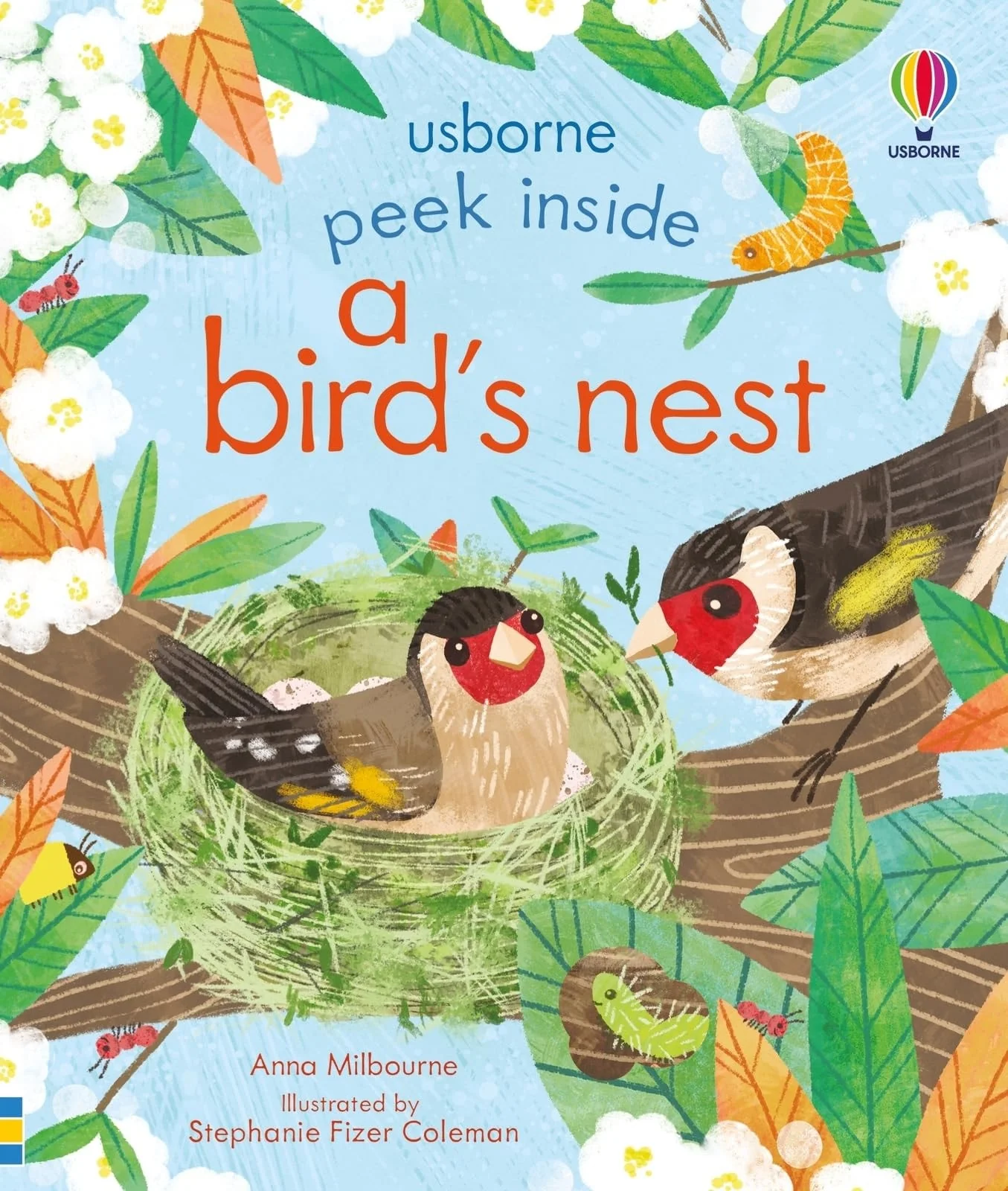 Peek Inside a Birds Nest