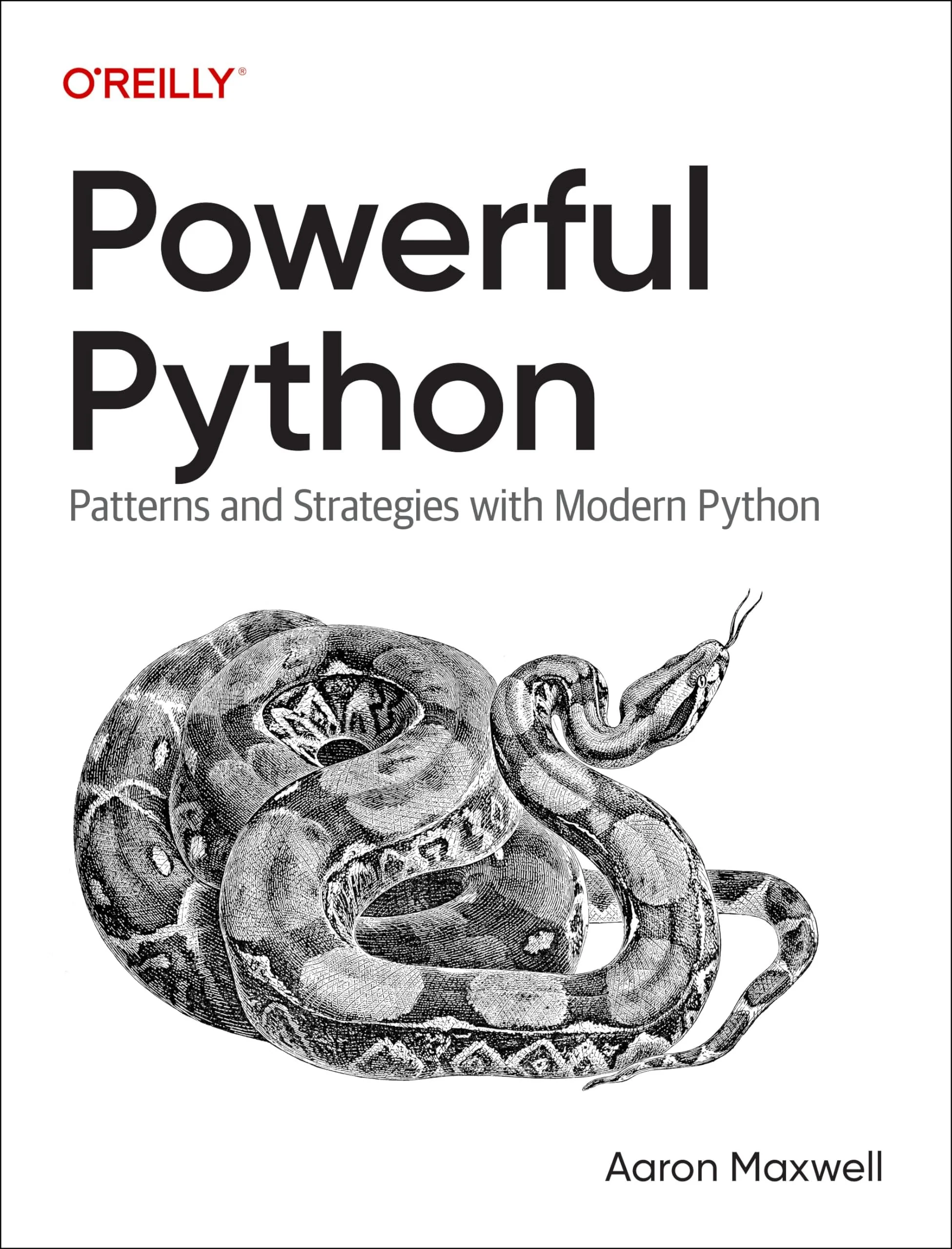 Powerful Python Patterns and Strategies with Modern Python
