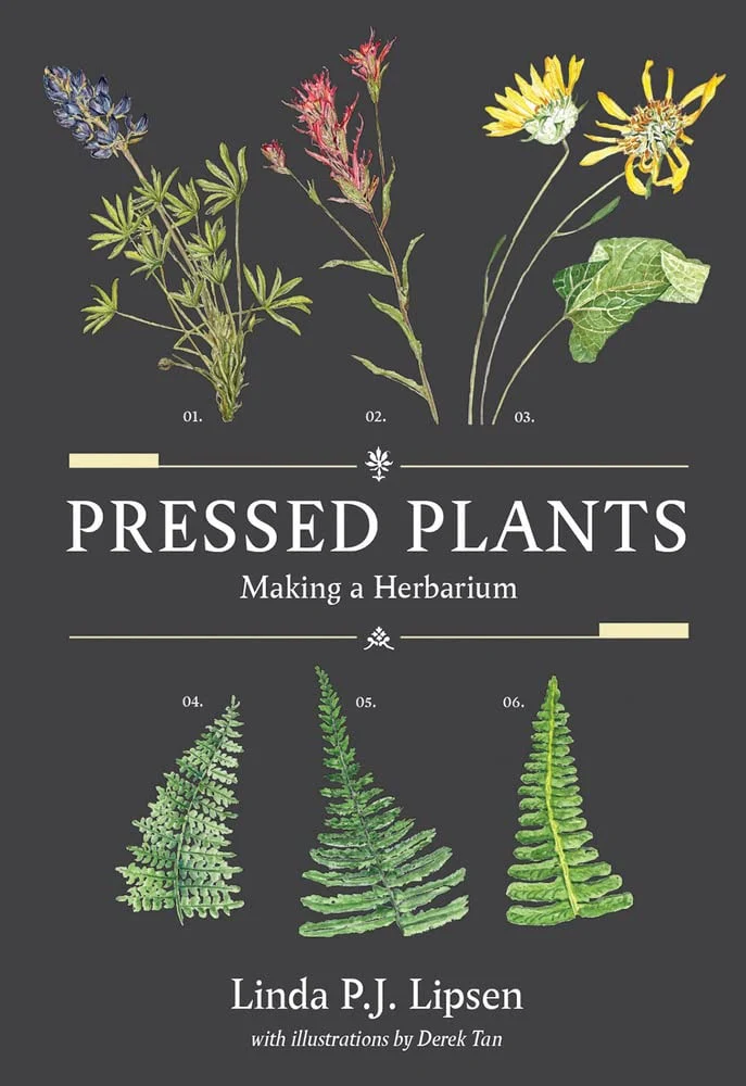 Pressed Plants Making a Herbarium
