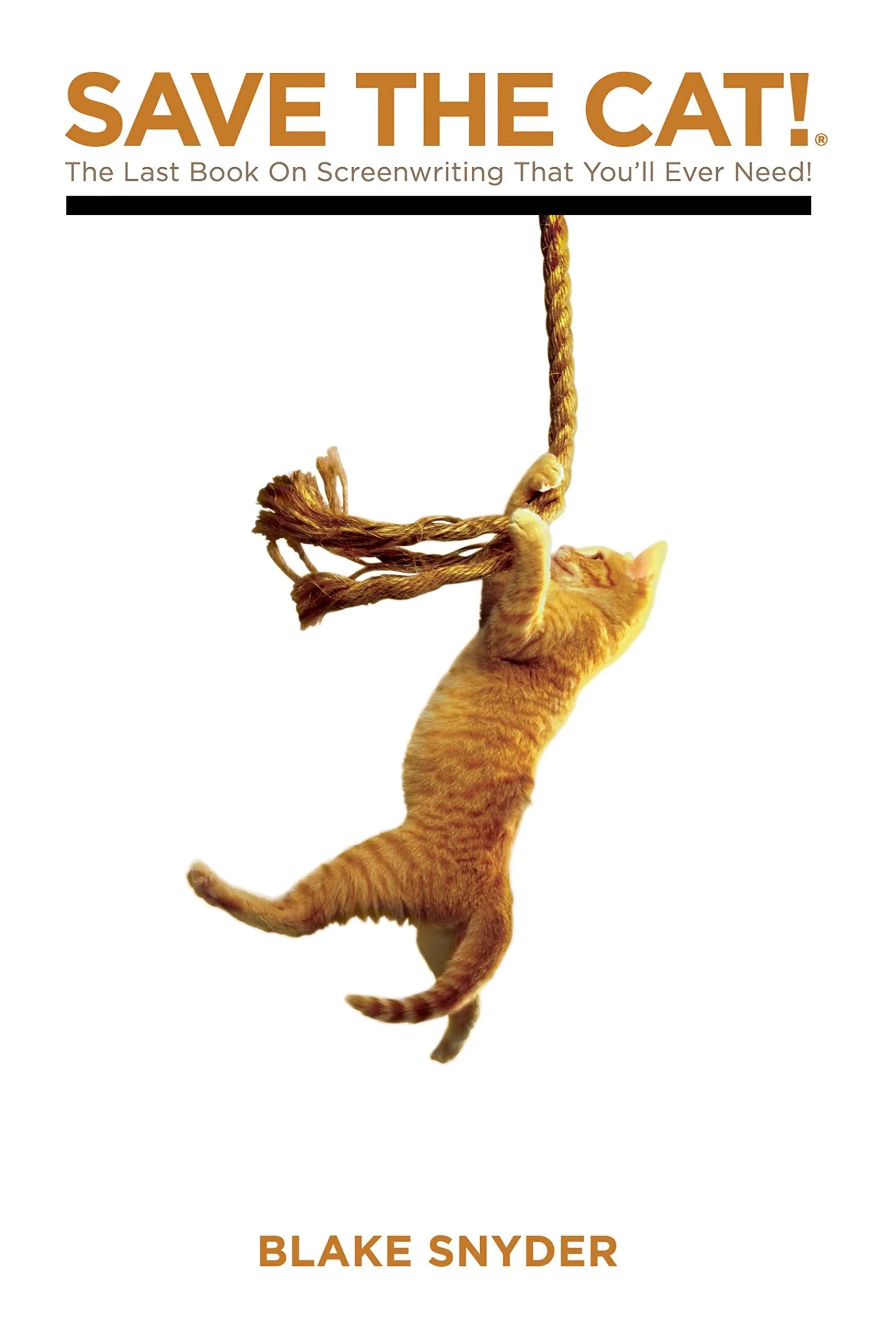 Save the Cat! The Last Book on Screenwriting You'll Ever Need
