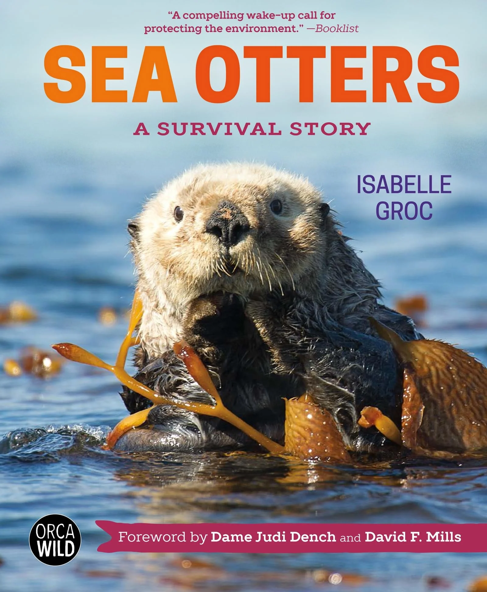 Sea Otters A Survival Story