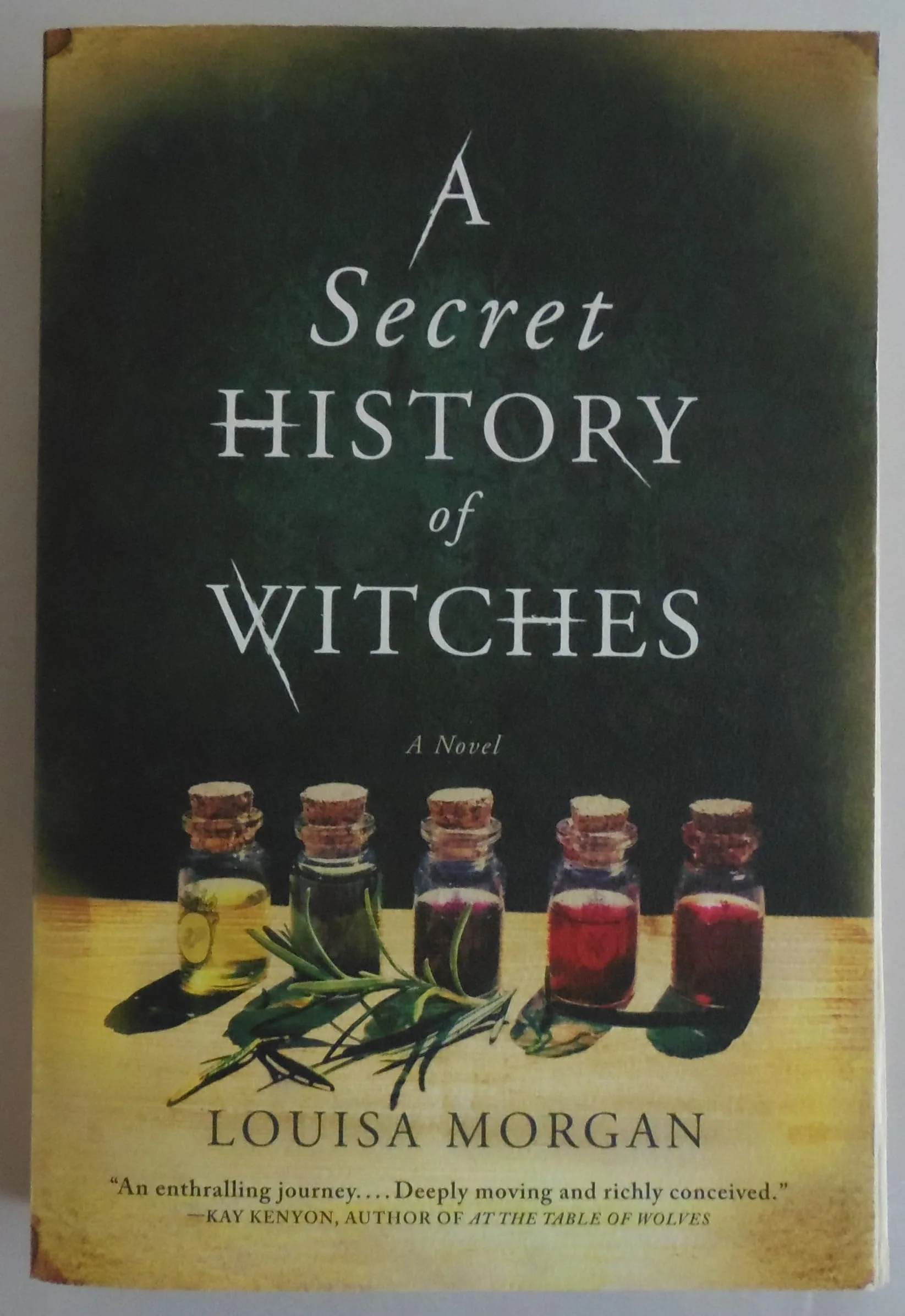 A Secret History of Witches A Novel