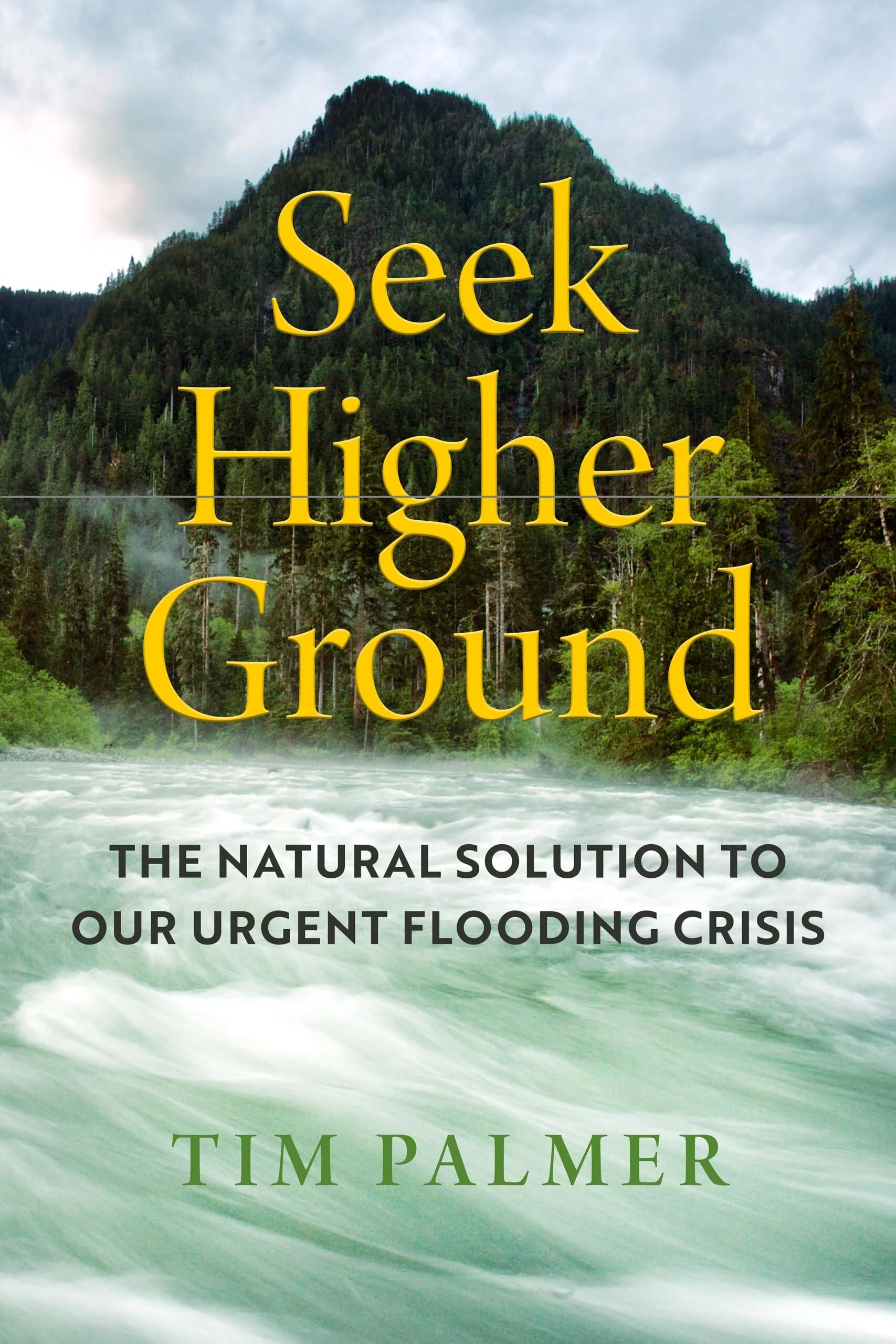 Seek Higher Ground The Natural Solution to Our Urgent Flooding Crisis