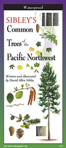 Sibley's Trees of Pacific Northwest -Fol