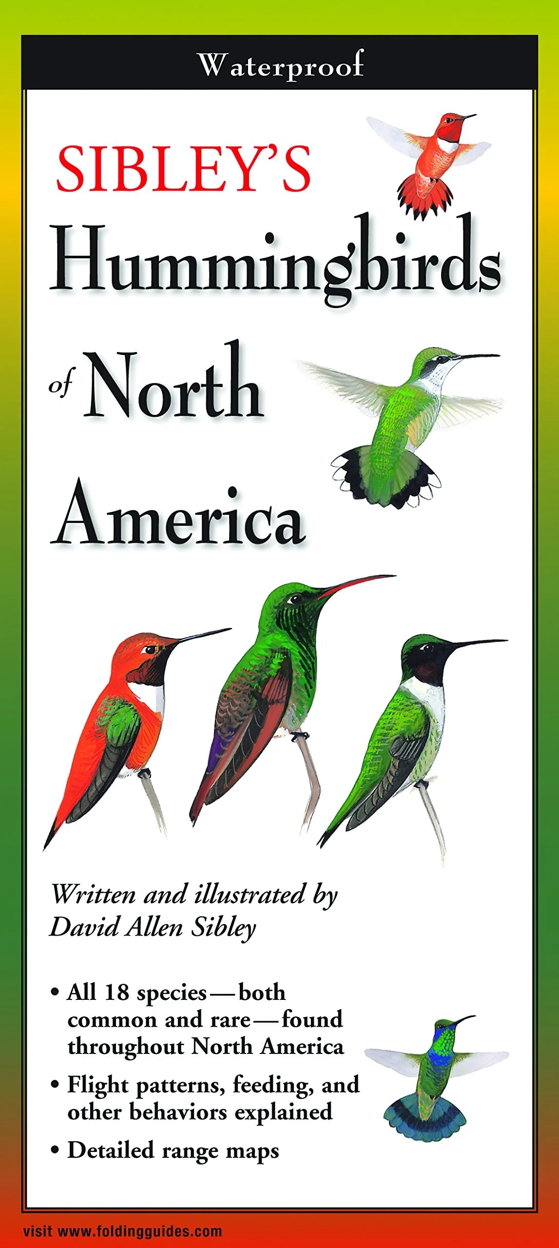 Sibley's Hummingbirds of North America Folding Guide