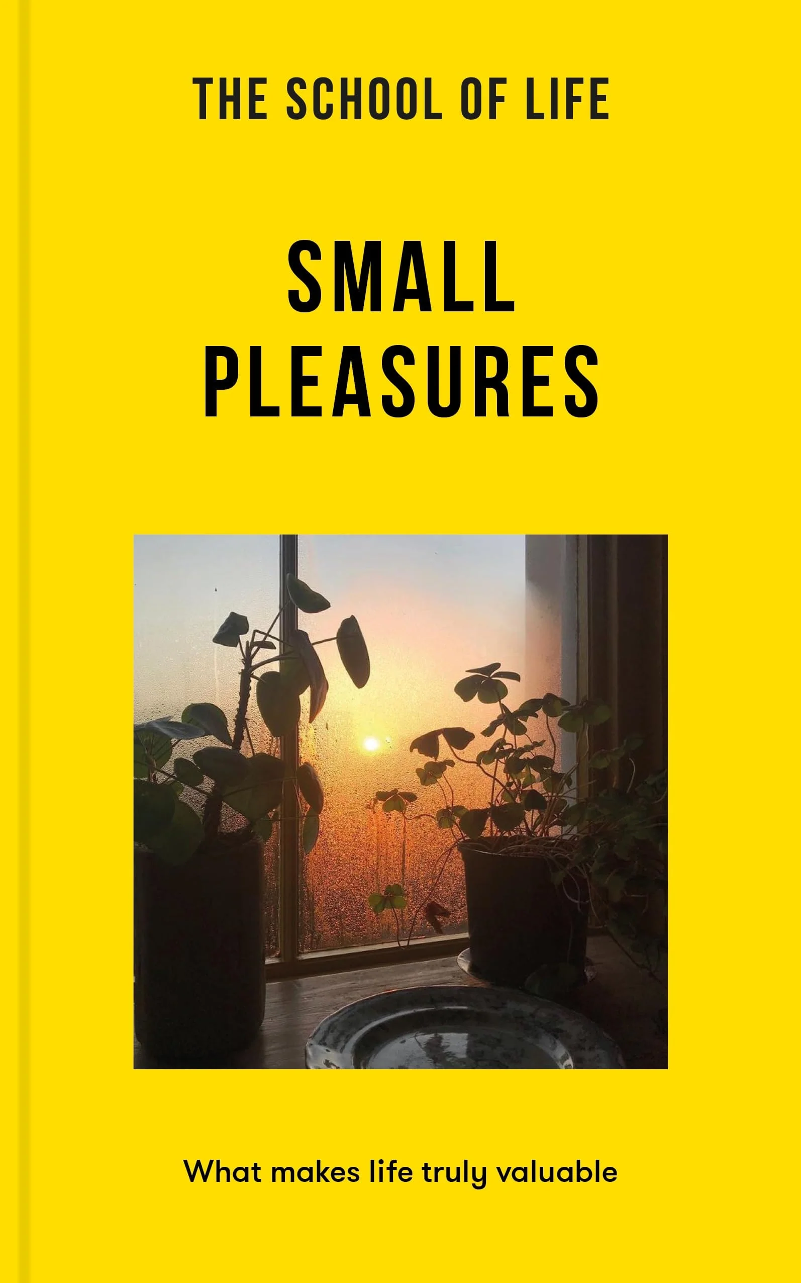 The School of Life: Small Pleasures What Makes Life Truly Valuable