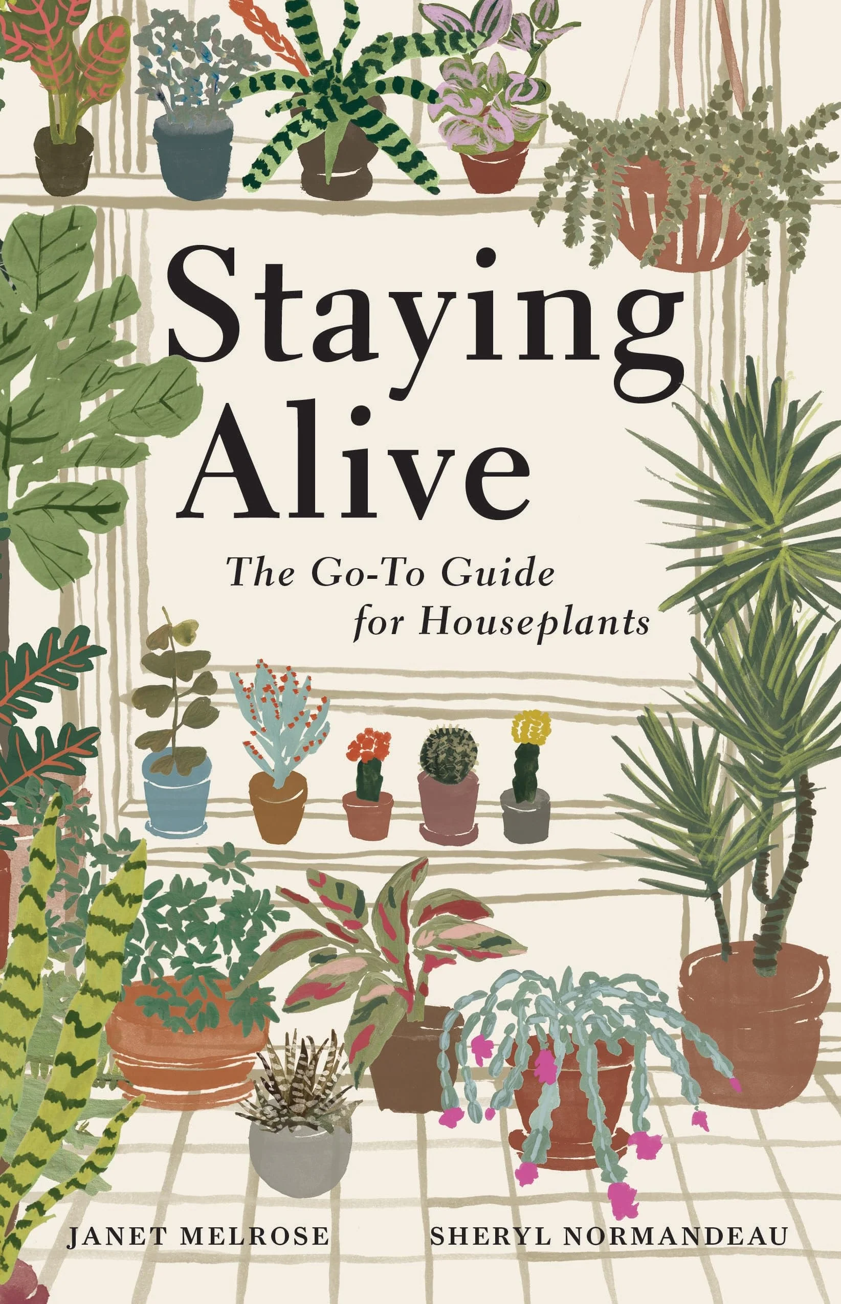 Staying Alive The Go-To Guide for Houseplants