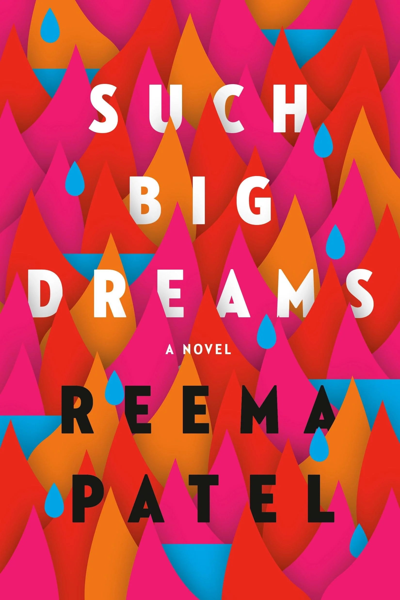 Such Big Dreams A Novel