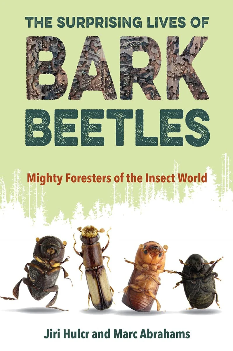 The Surprising Lives of Bark Beetles Mighty Foresters of the Insect World