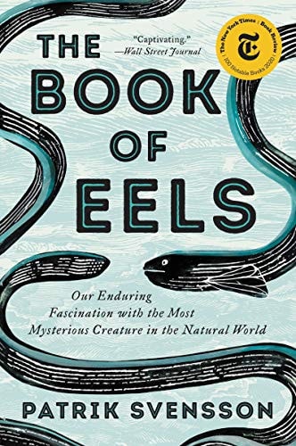 The Book of Eels Our Enduring Fascination with the Most Mysterious Creature in the Natural World