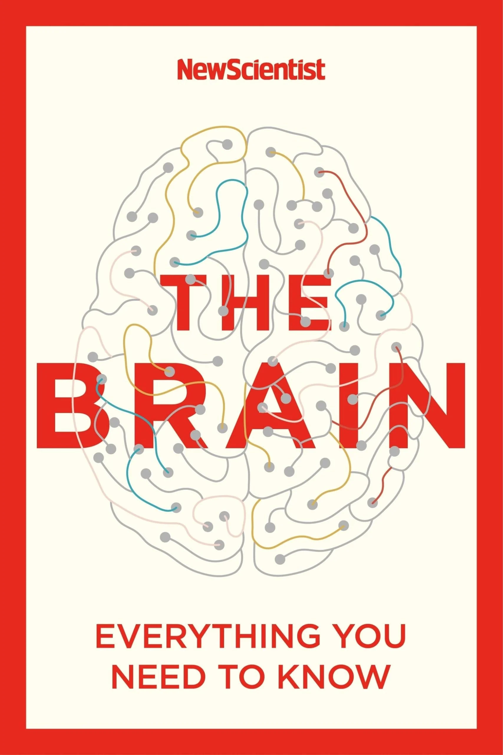 The Brain Everything You Need to Know