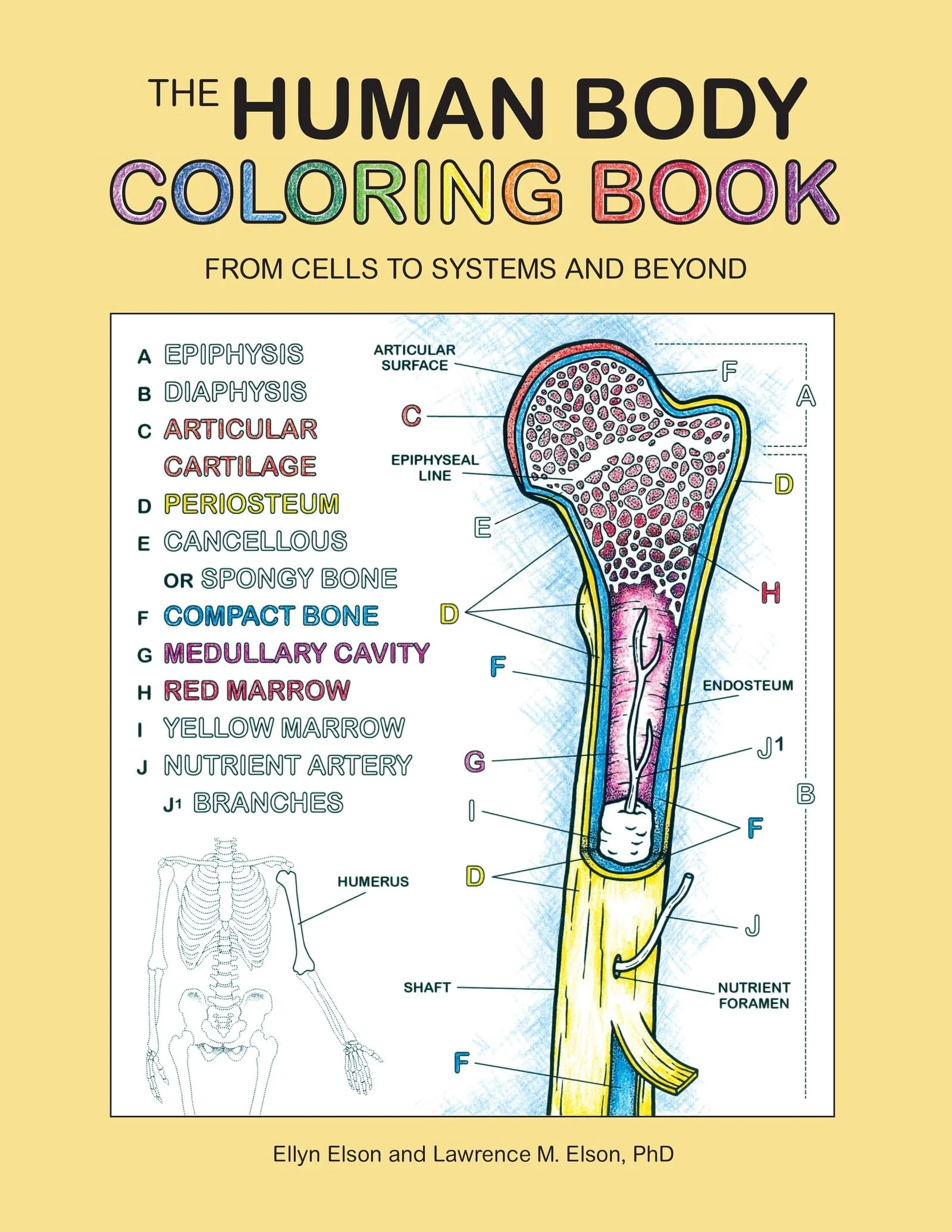 The Human Body Coloring Book From Cells to Systems and Beyond