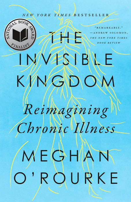 The Invisible Kingdom Reimagining Chronic Illness - Image 2