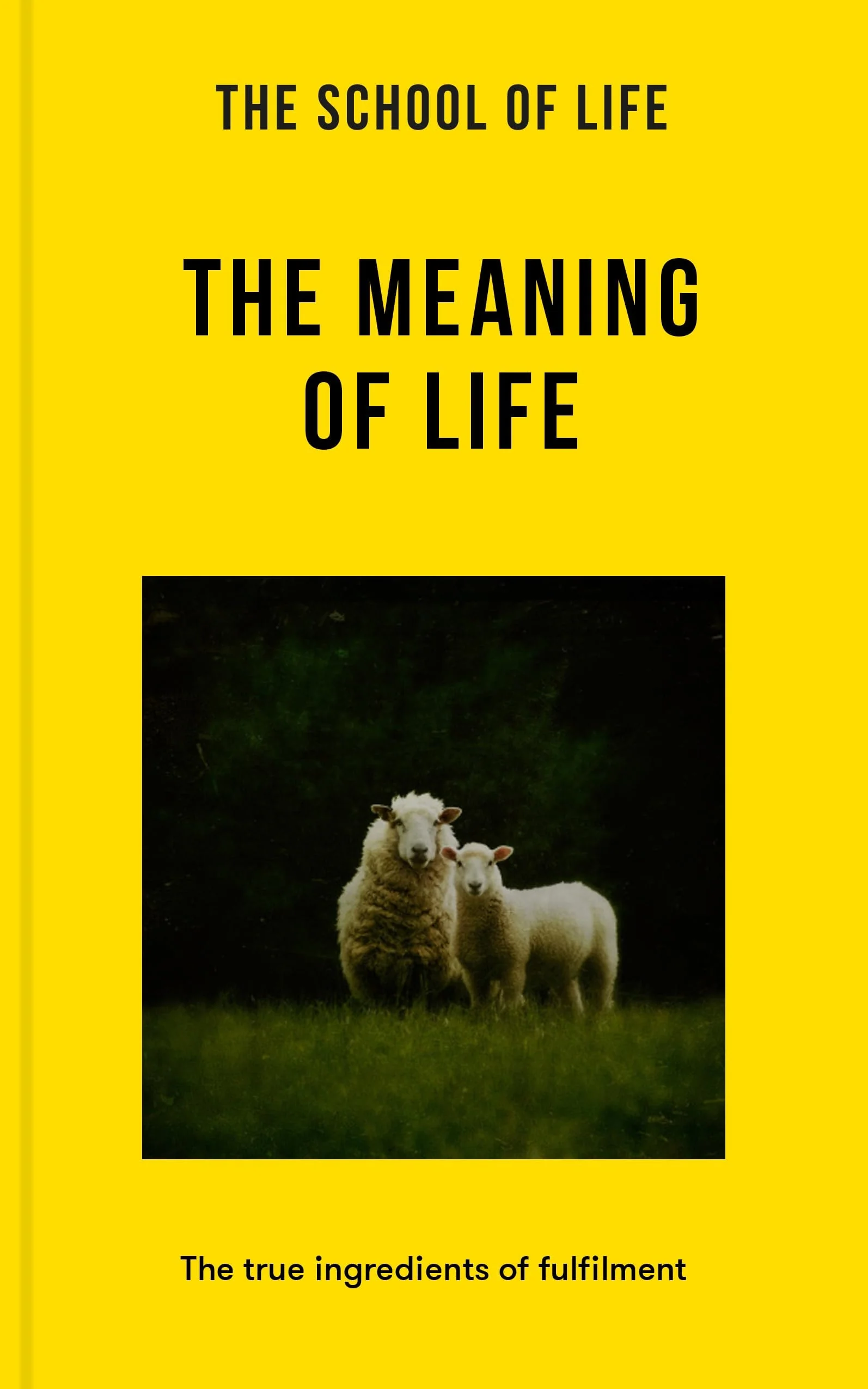 The Meaning of Life The True Ingredients of Fulfilment
