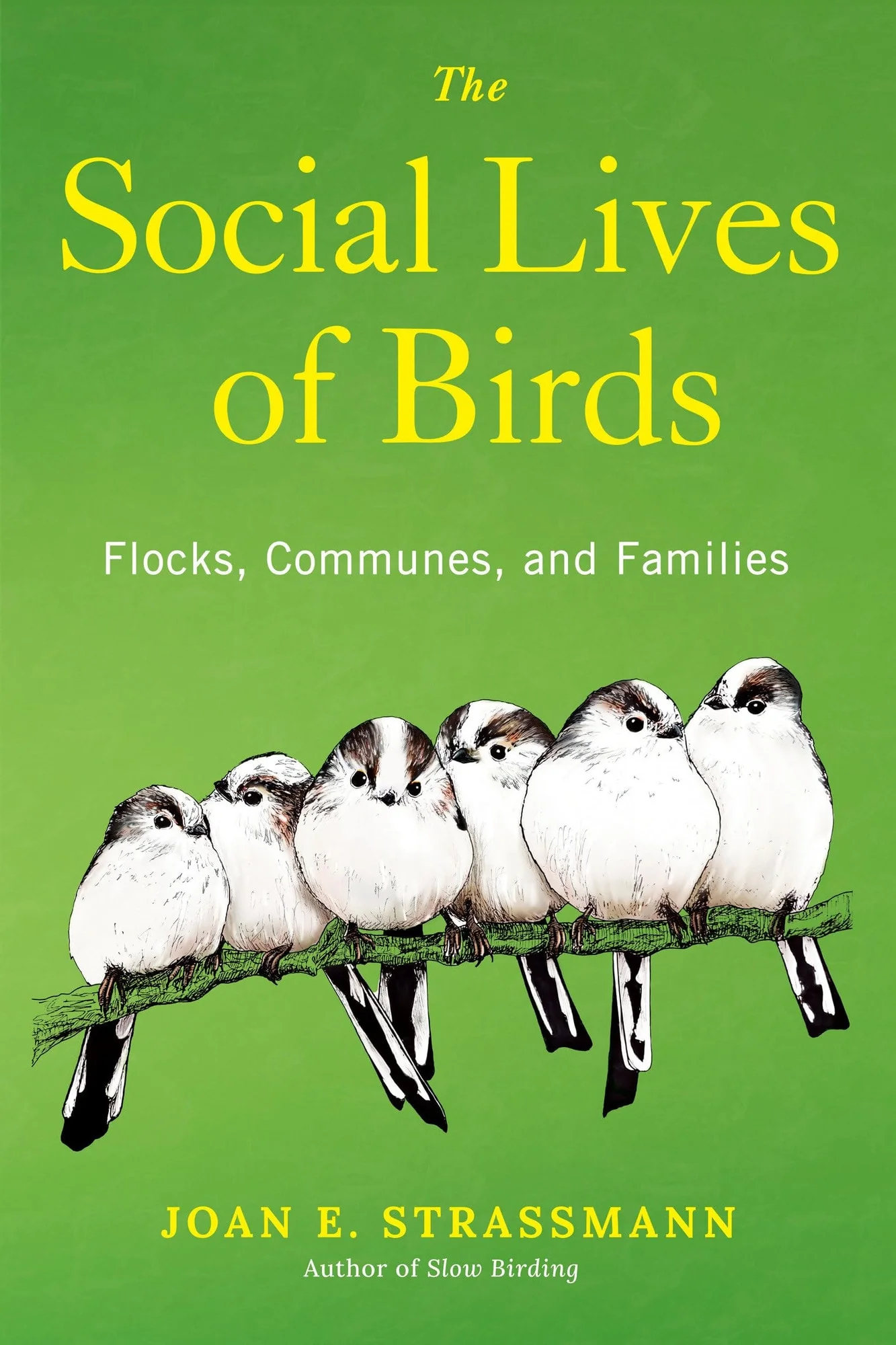 The Social Lives of Birds Flocks, Communes, and Families